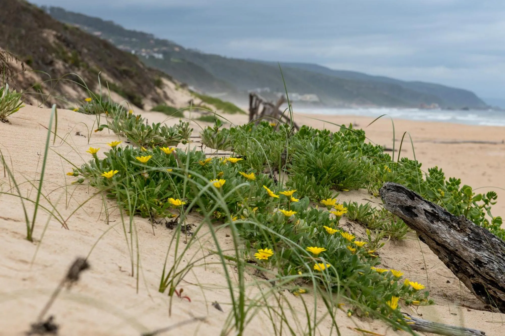 Natural landscape in Buffelsdam Country House