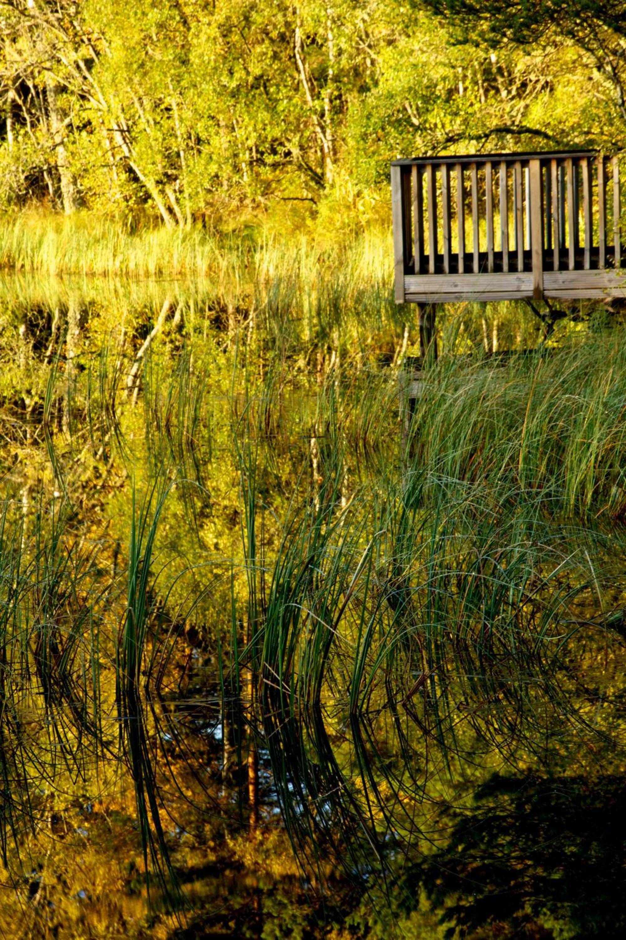 Area and facilities in Loch Kinord Hotel