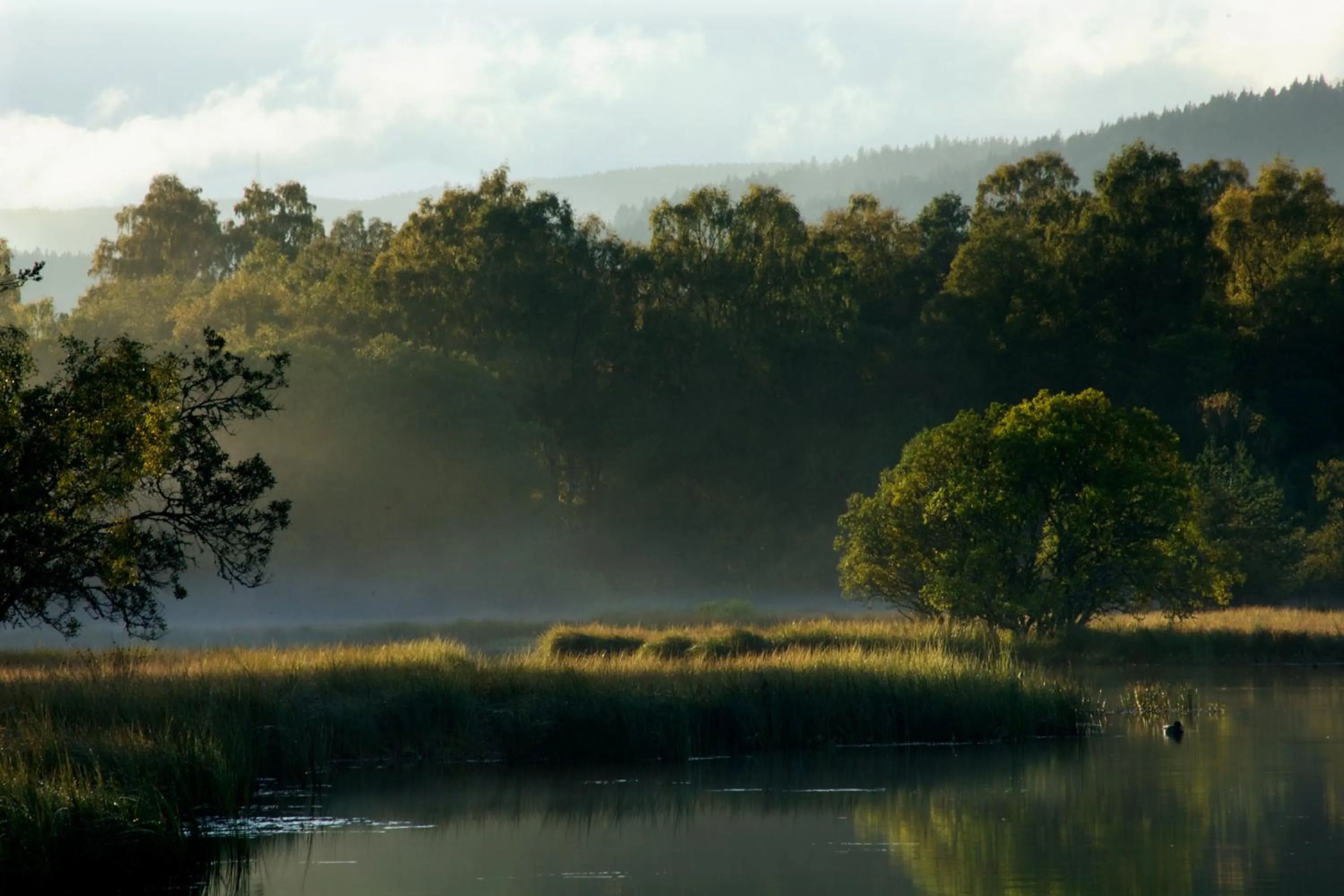 Area and facilities in Loch Kinord Hotel