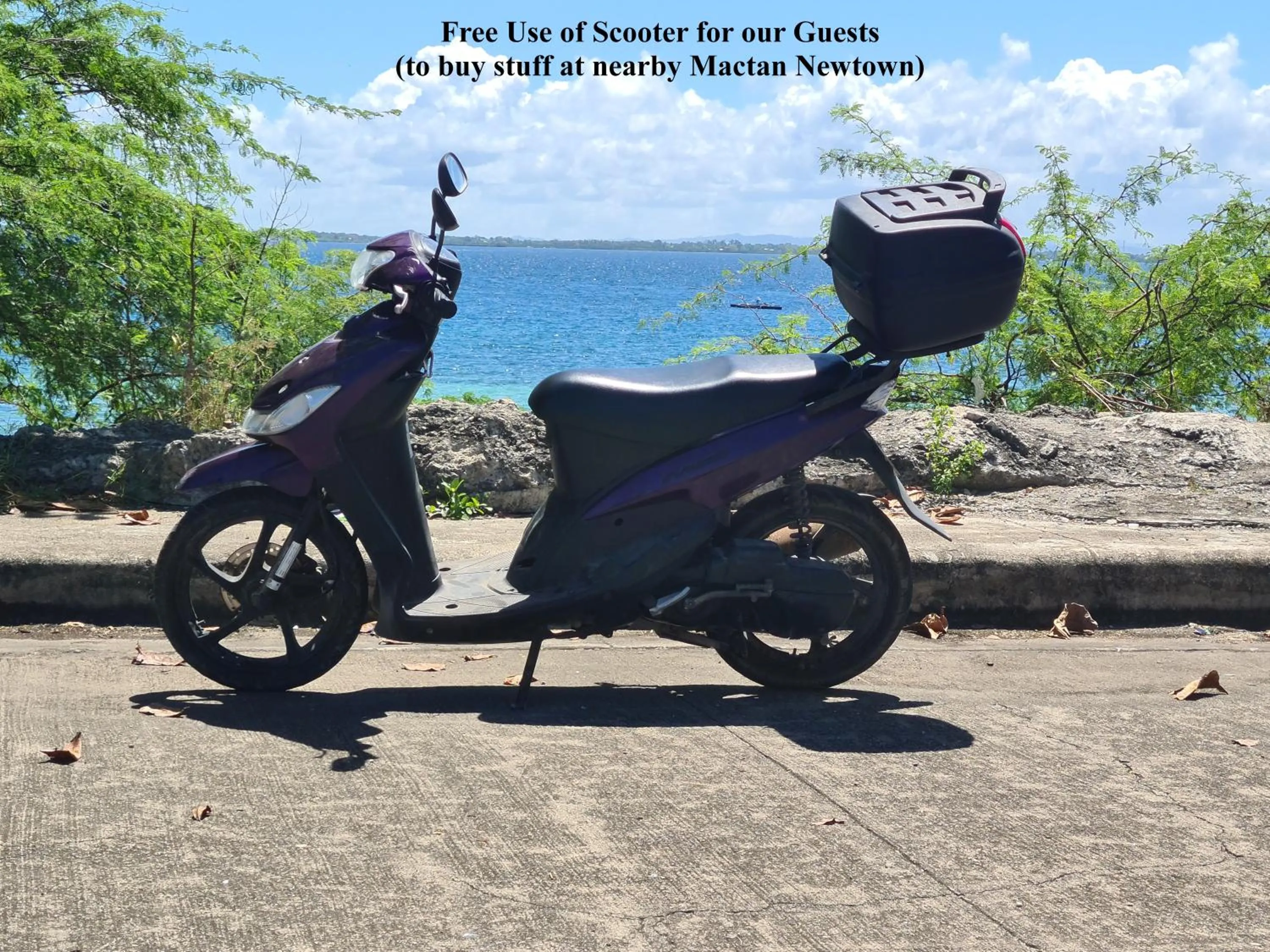 Natural landscape in La Mirada Residences