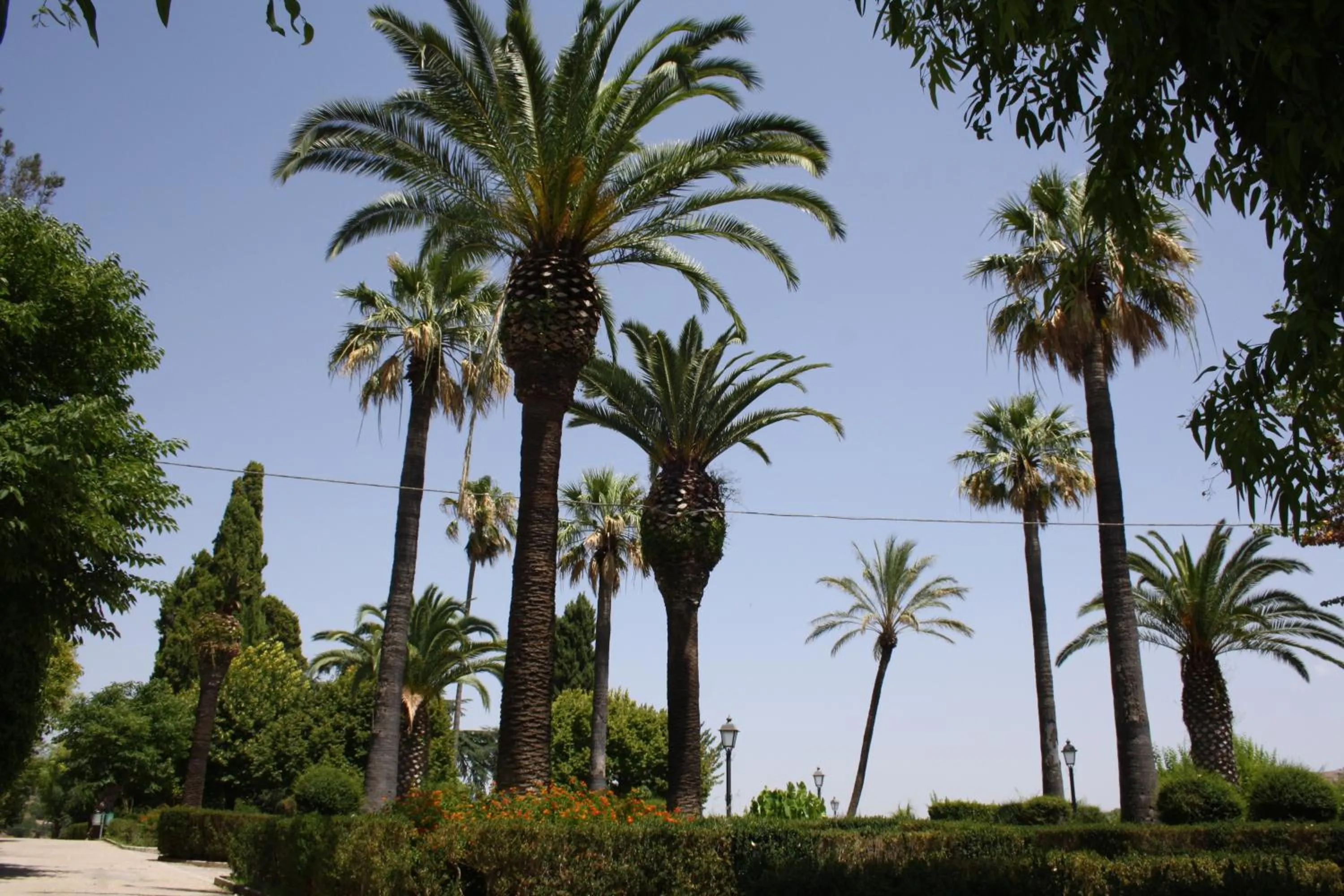 Natural landscape in La Chiave di Volta