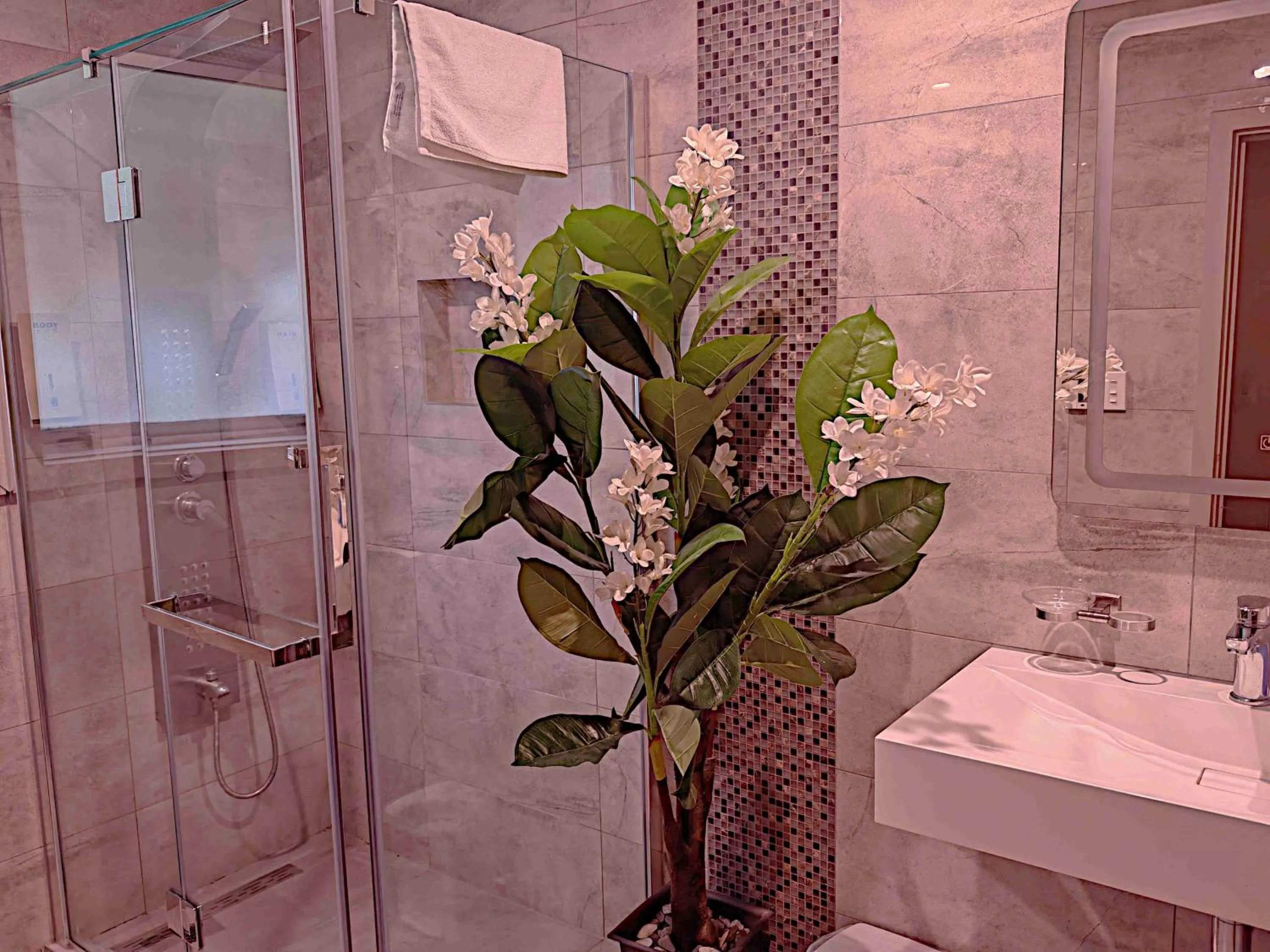 Shower in Newlands Court Motel