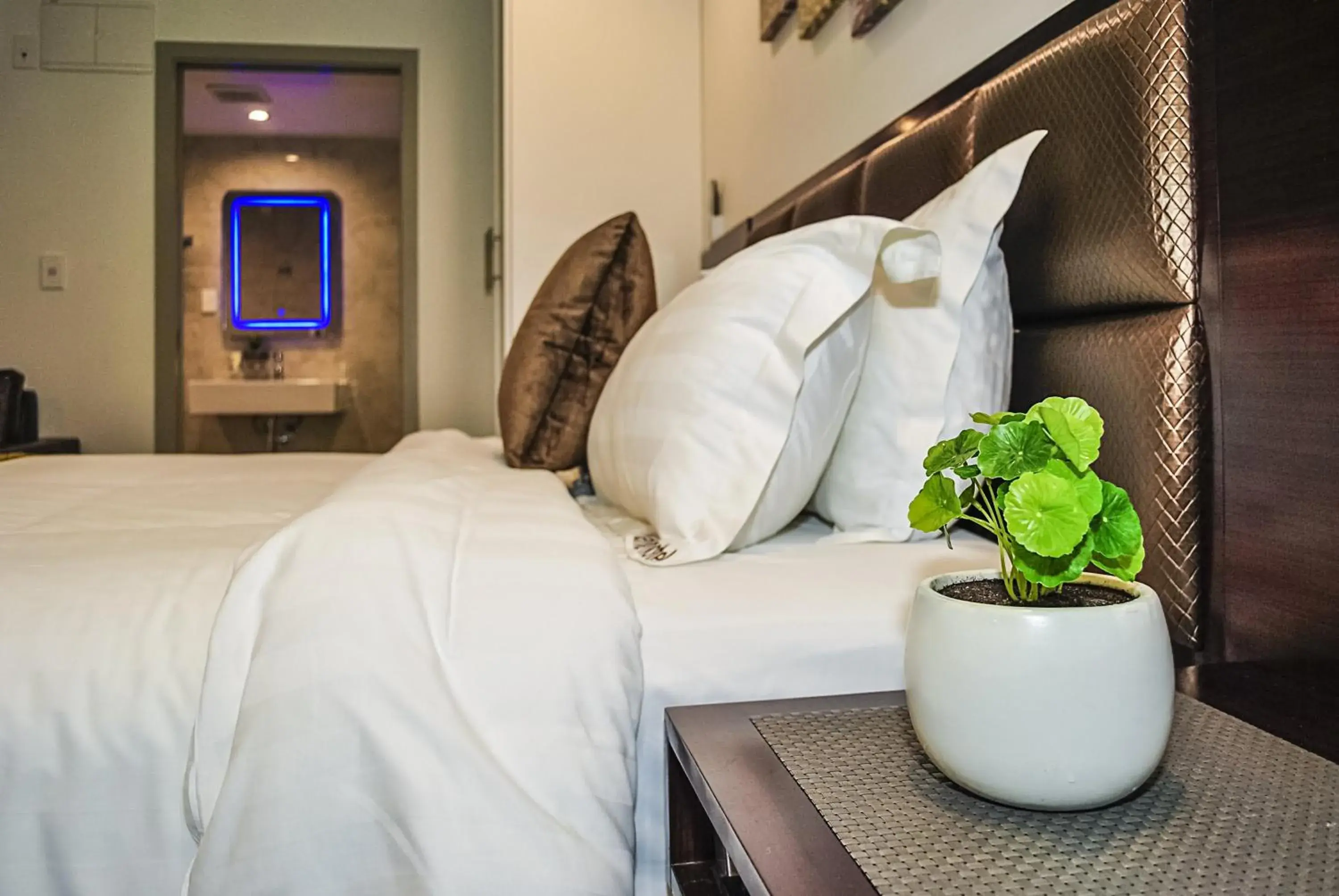 Premium Executive Studio with Bath in Newlands Court Motel Premium Executive Studio with Bath in Newlands Court Motel