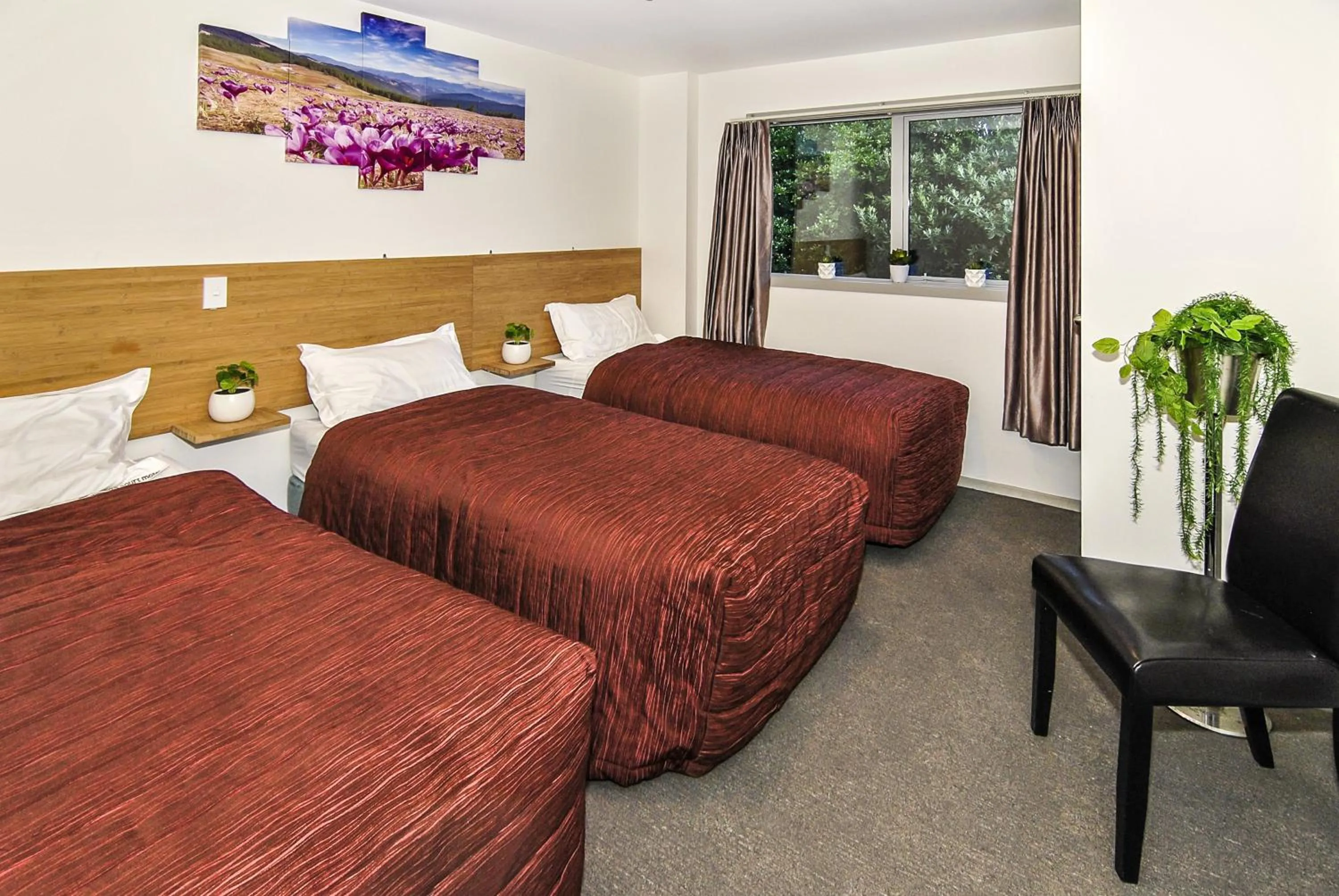 Bedroom, Bed in Newlands Court Motel