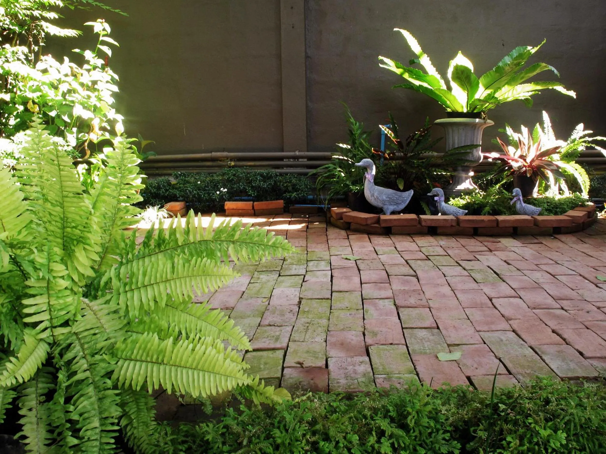 Animals in The White Elephant Home