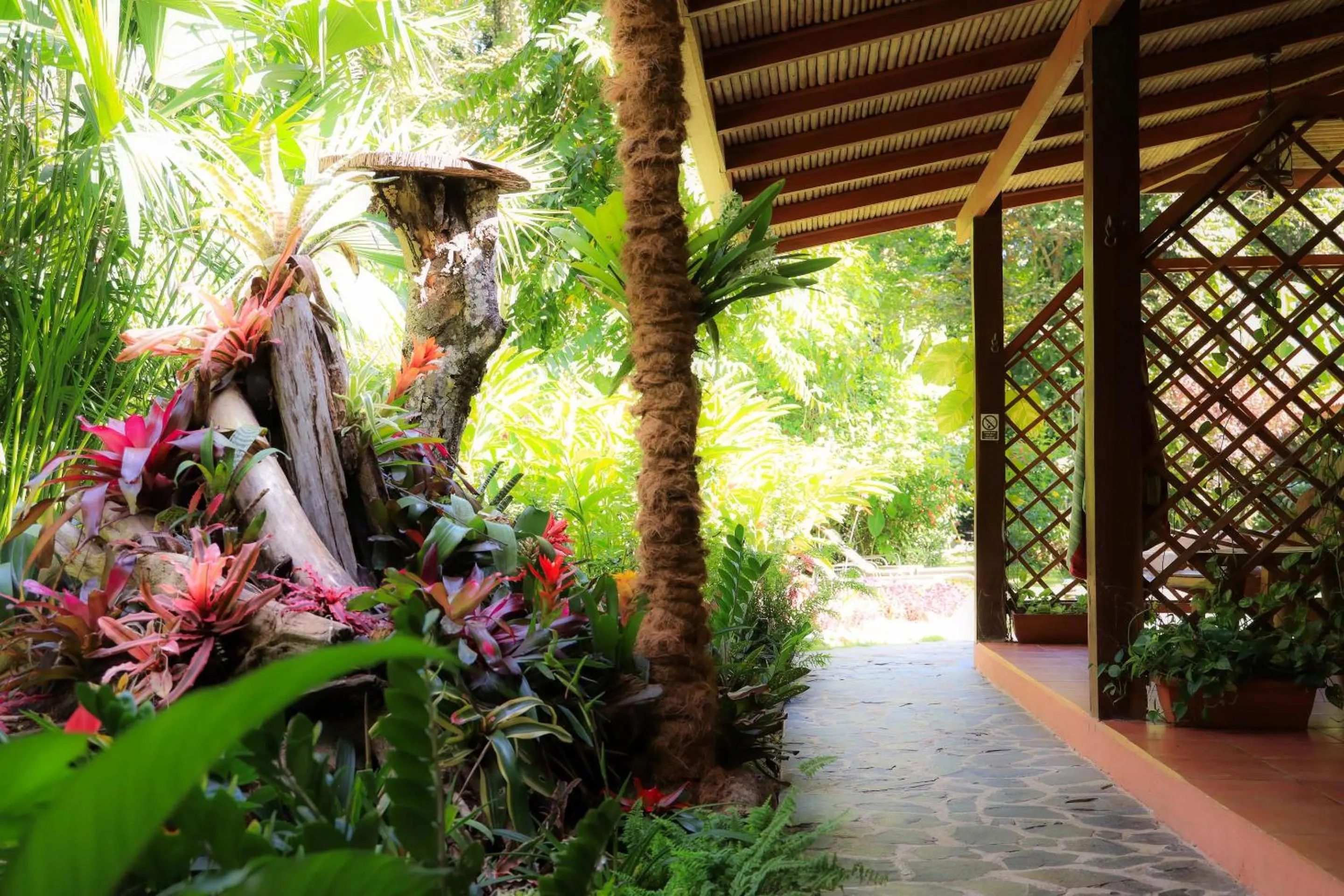 Garden view in Hotel Casa Merlin