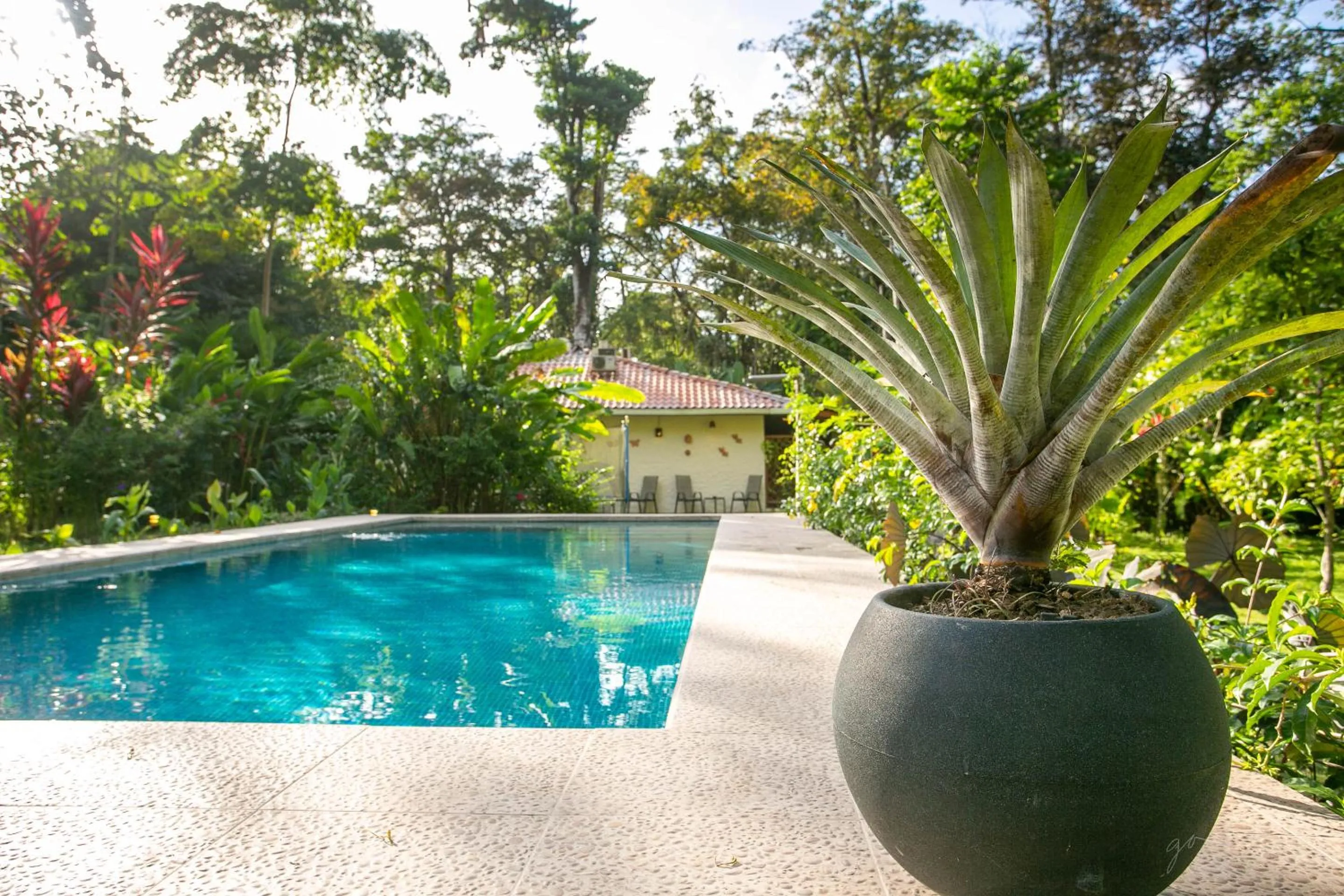 Garden in Hotel Casa Merlin