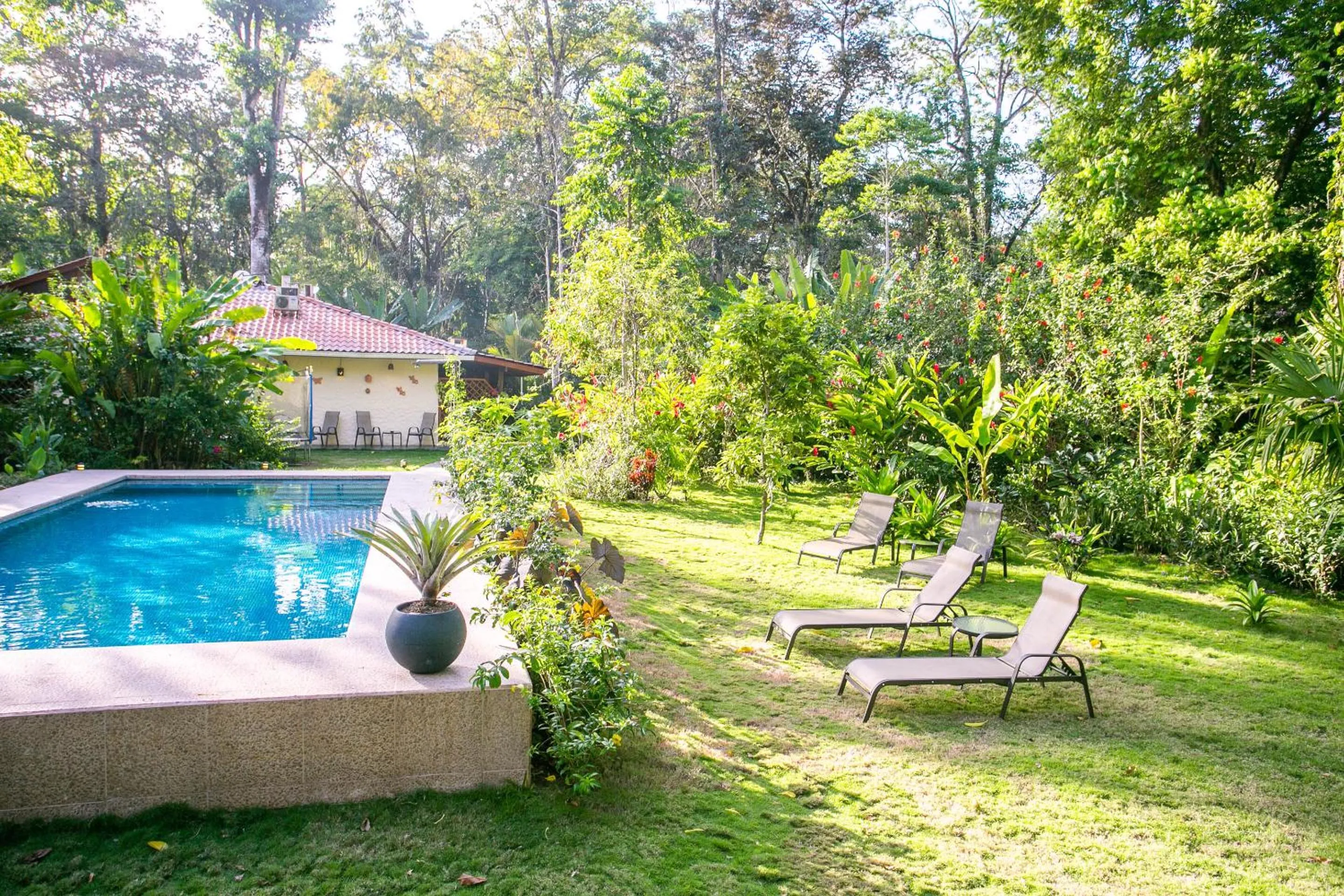 Garden in Hotel Casa Merlin