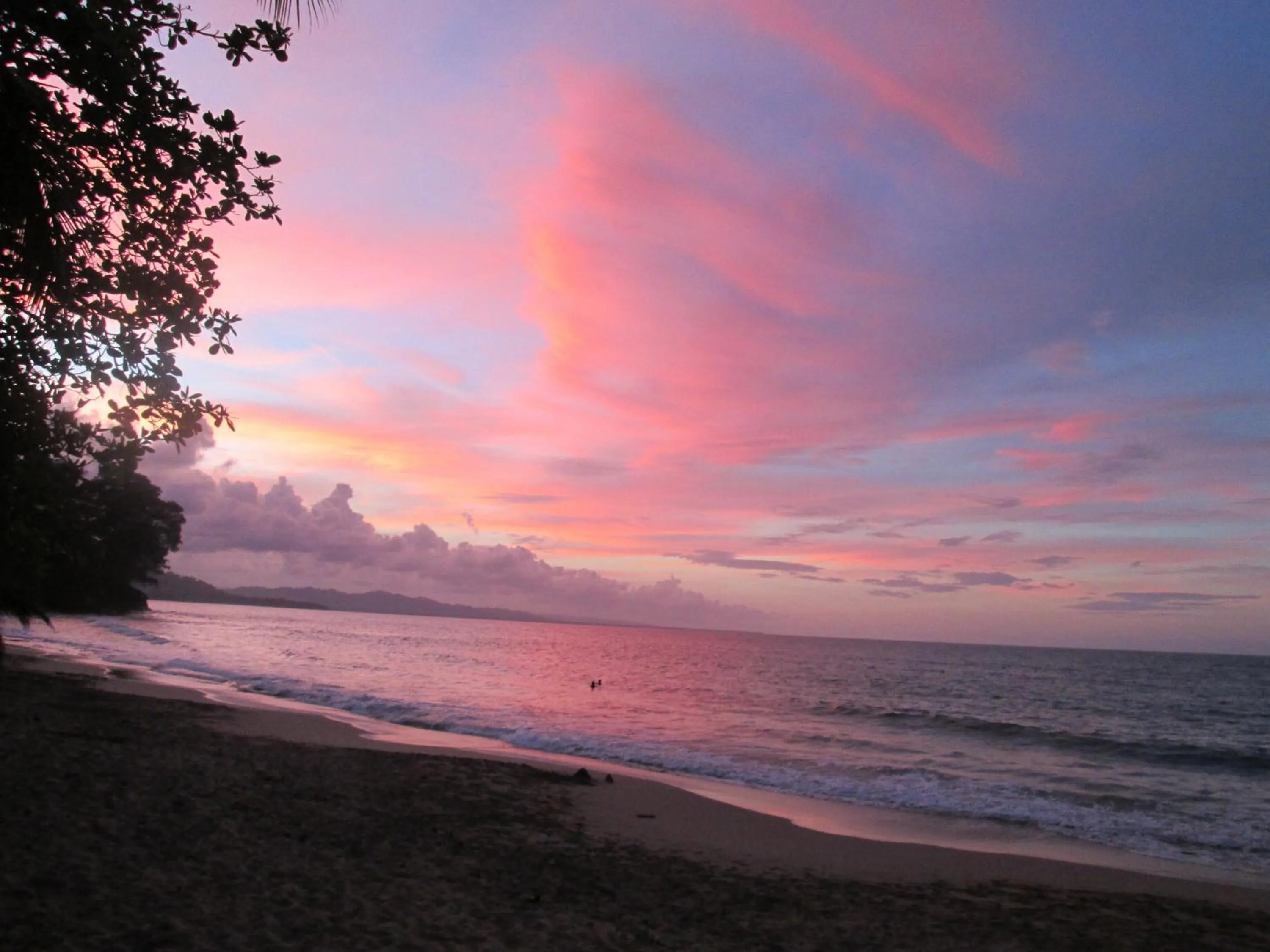 Natural landscape in Hotel Casa Merlin