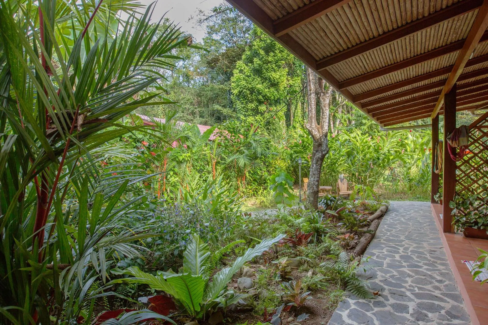 Other in Hotel Casa Merlin