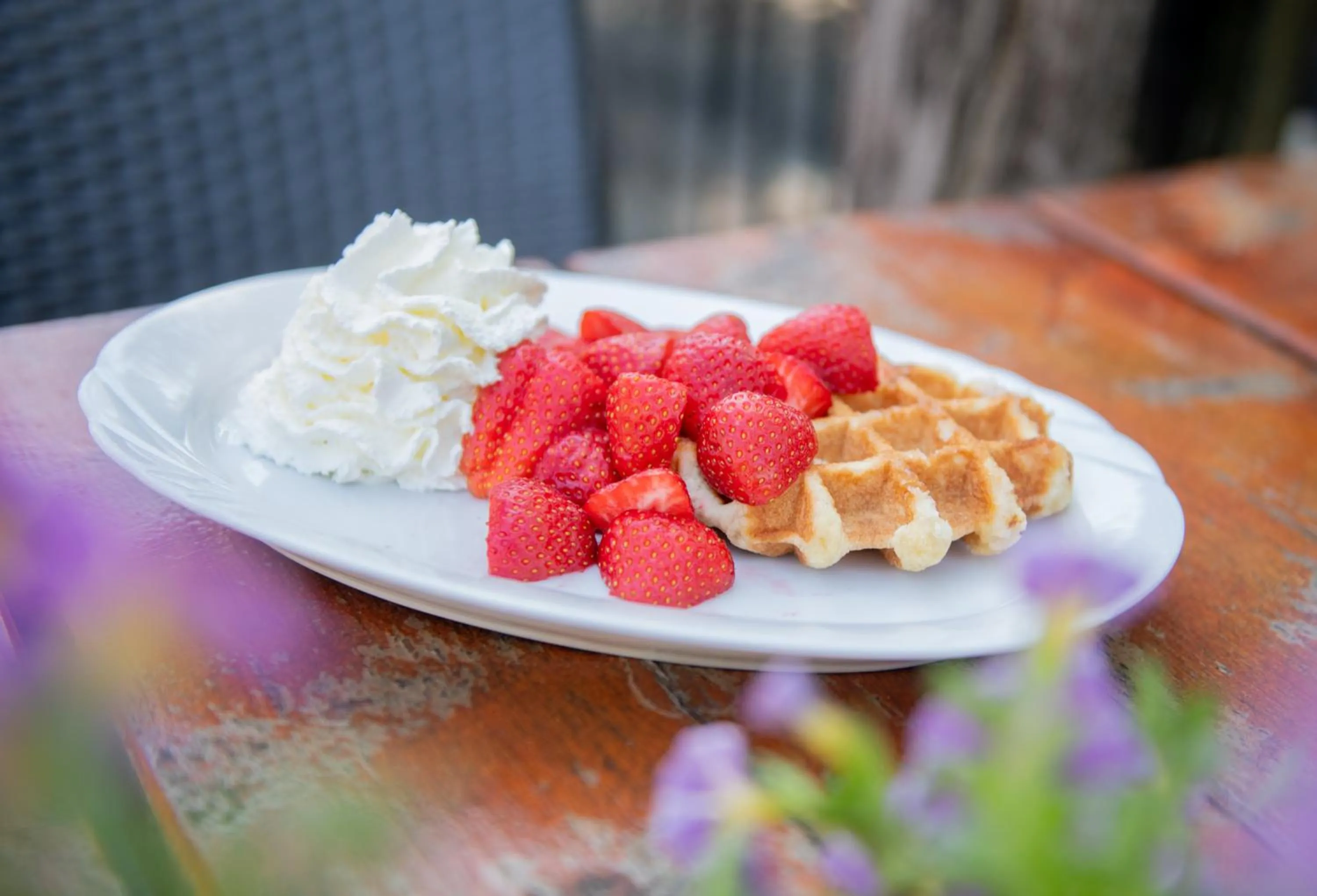 Food and drinks in Natuurpoort van Loon