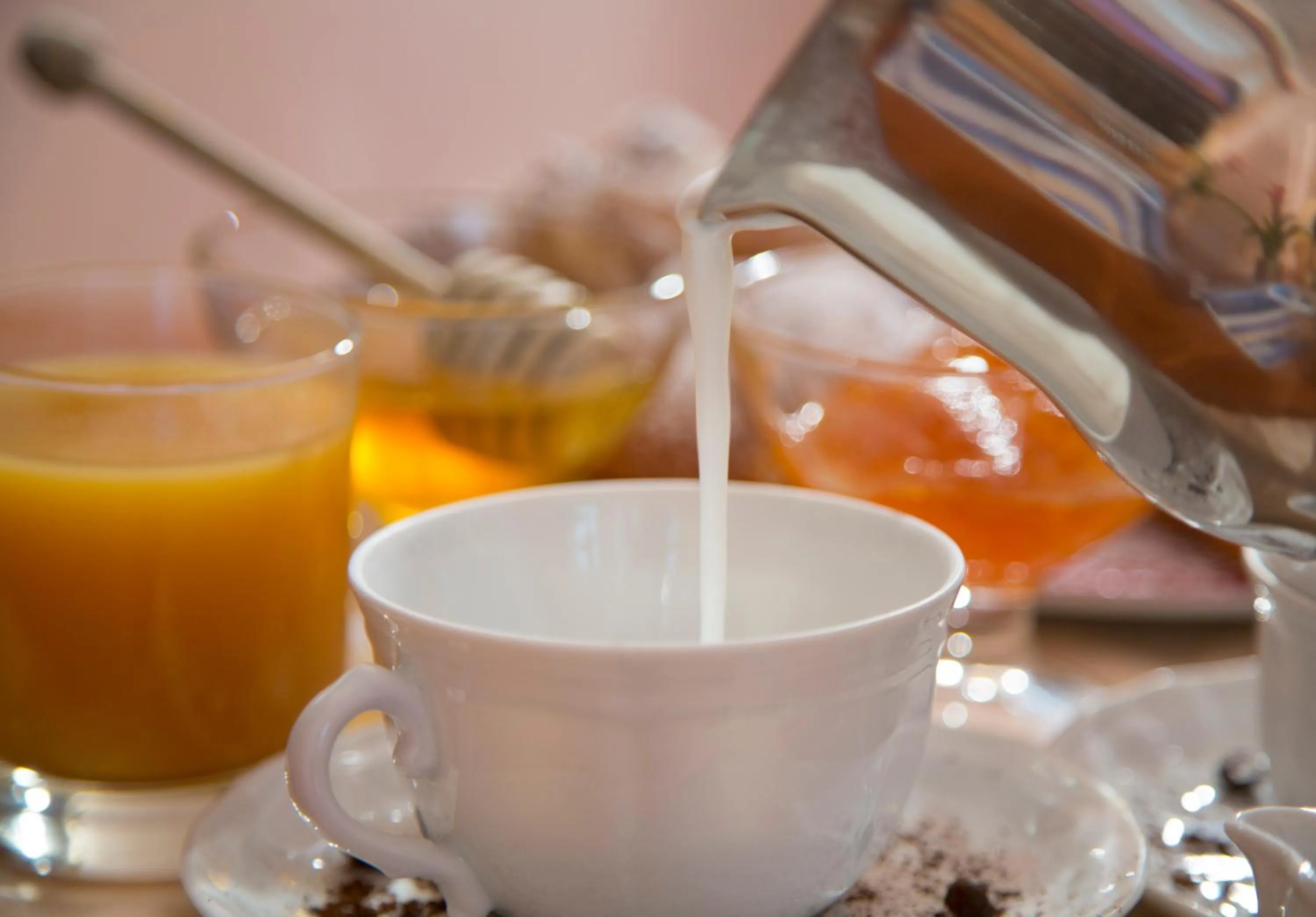 Breakfast in Garden Hotel Ripa