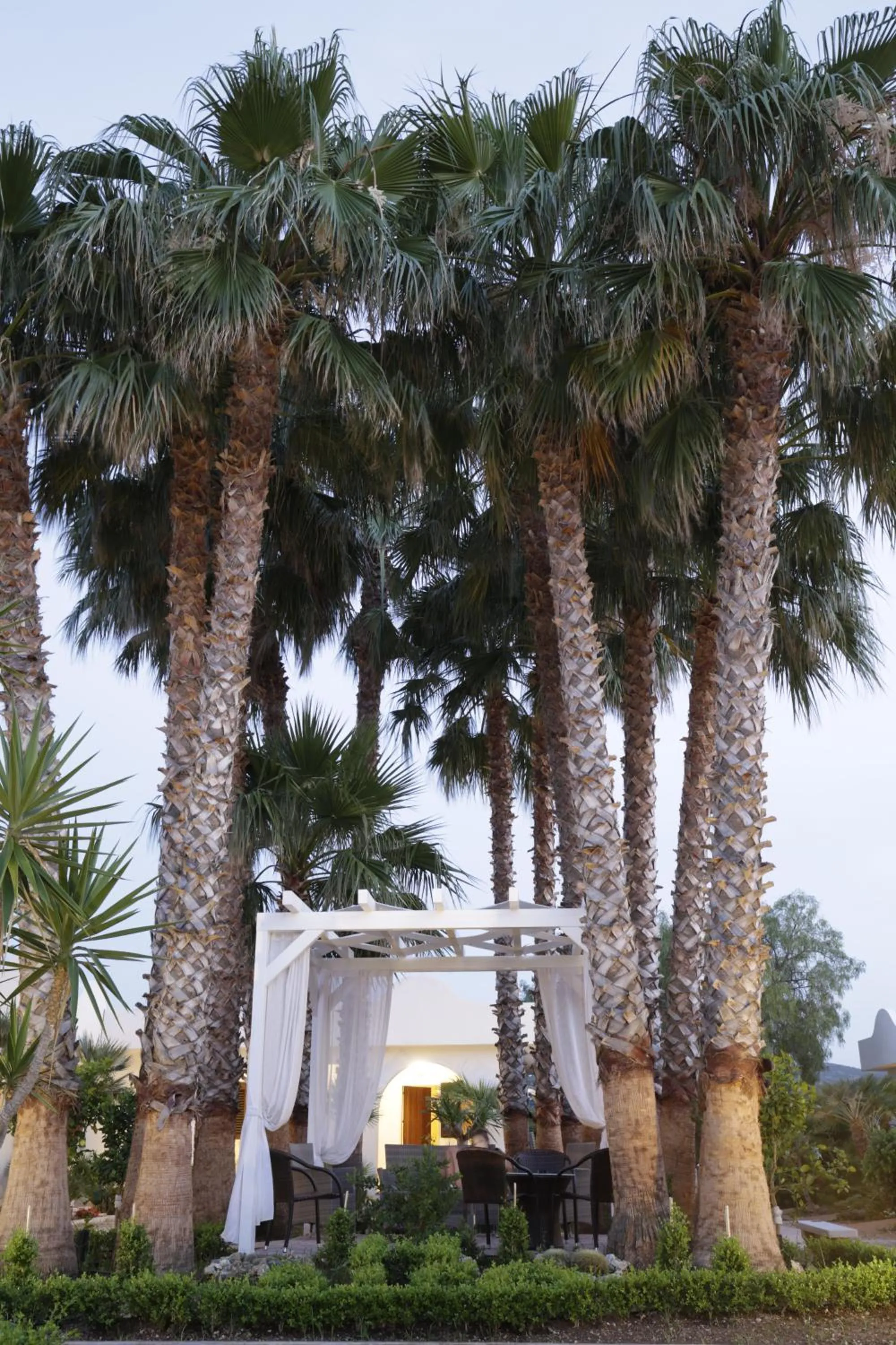 Garden in Garden Hotel Ripa