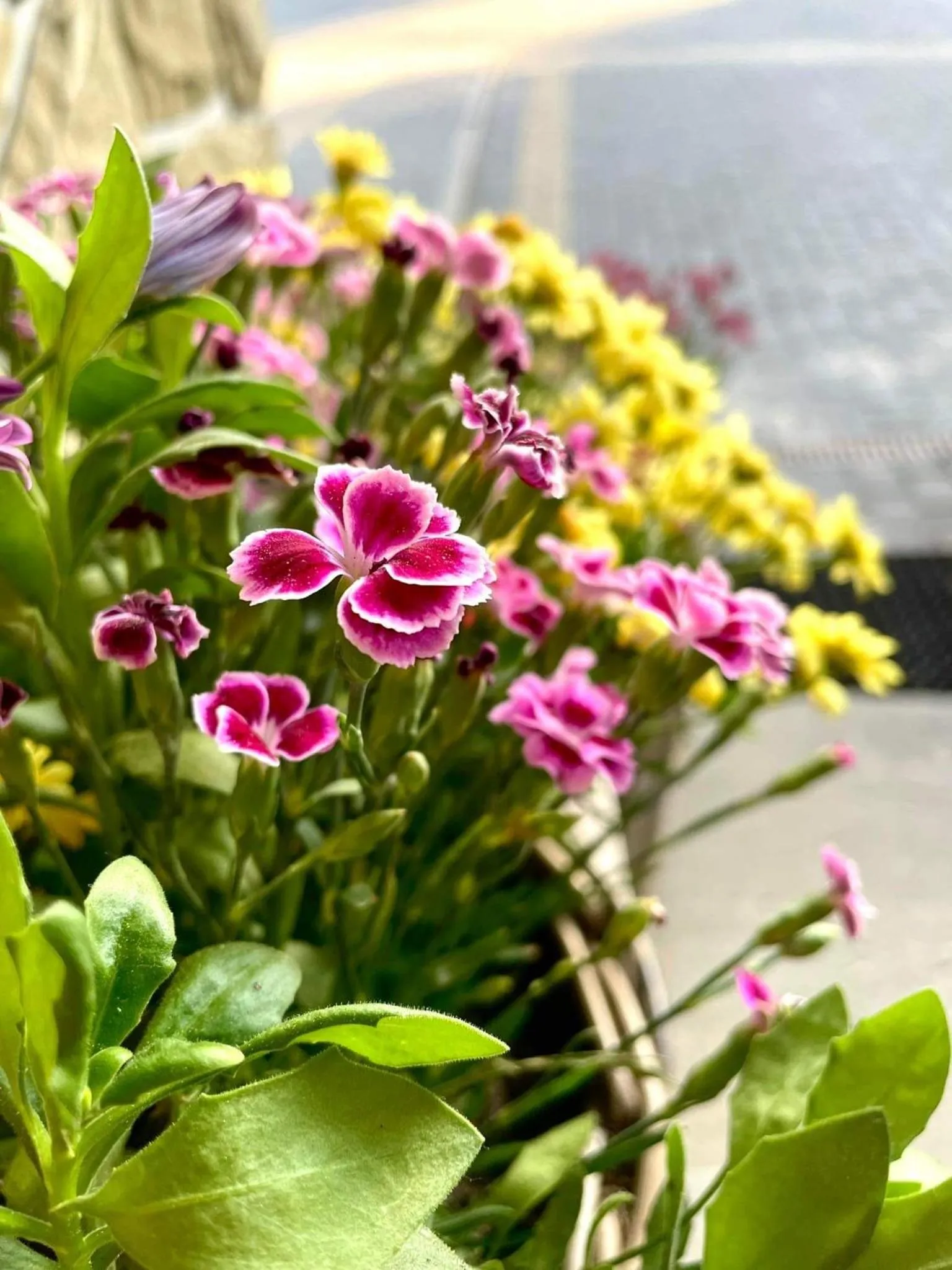 Property building in Hotel Nosal Ski & Wine