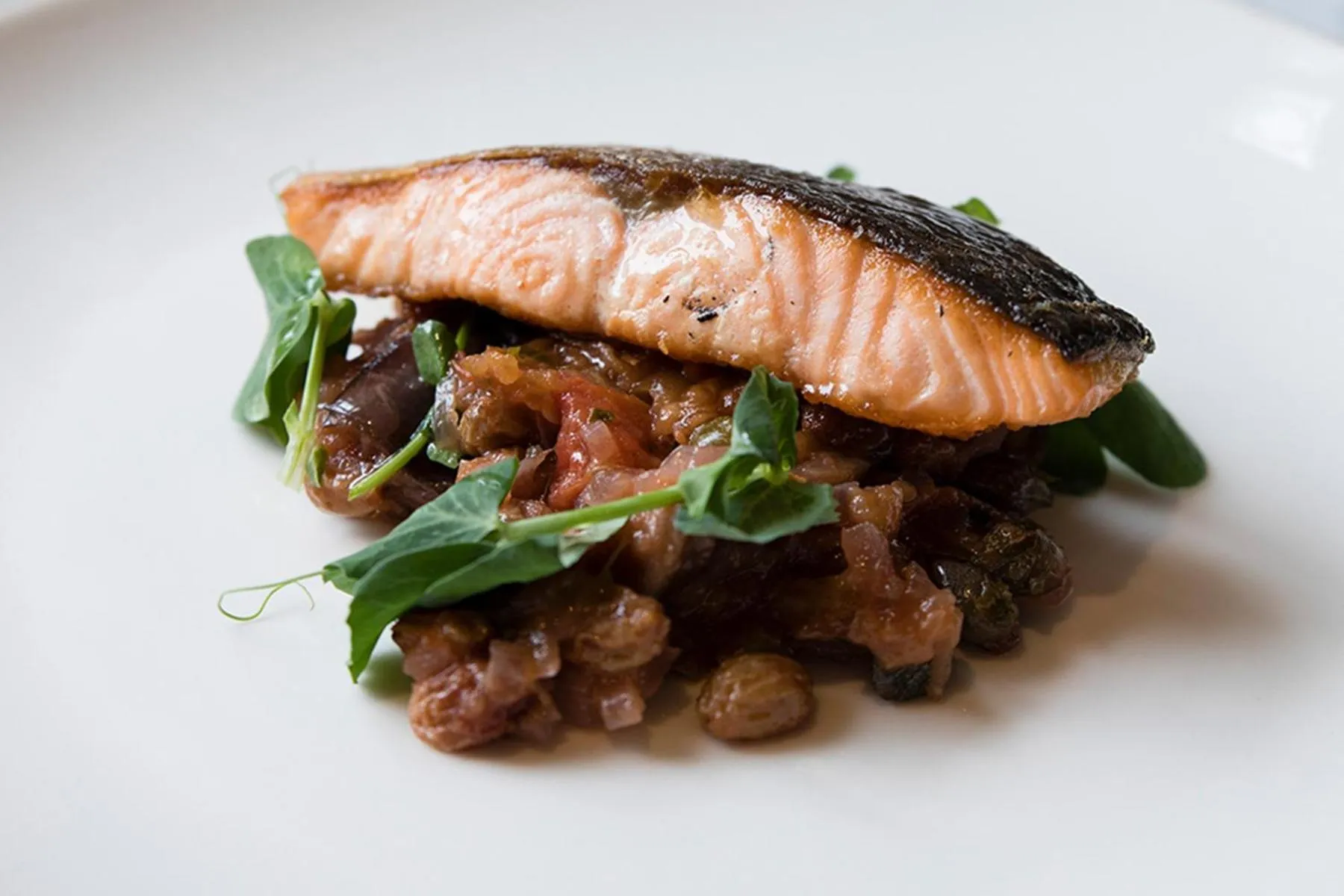 Food close-up in The Fox & Goose Hotel