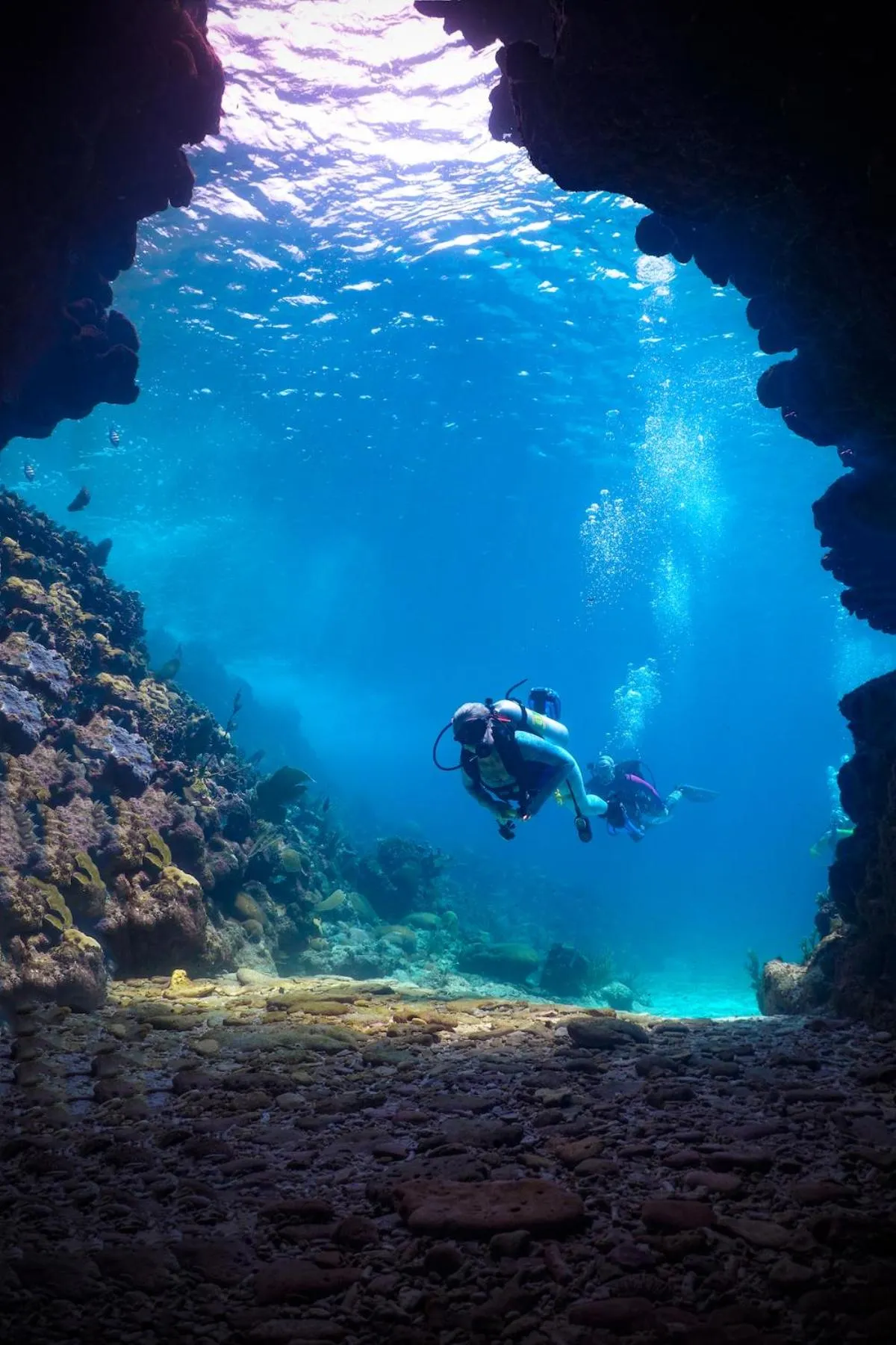 Diving in Anthony's Key Resort