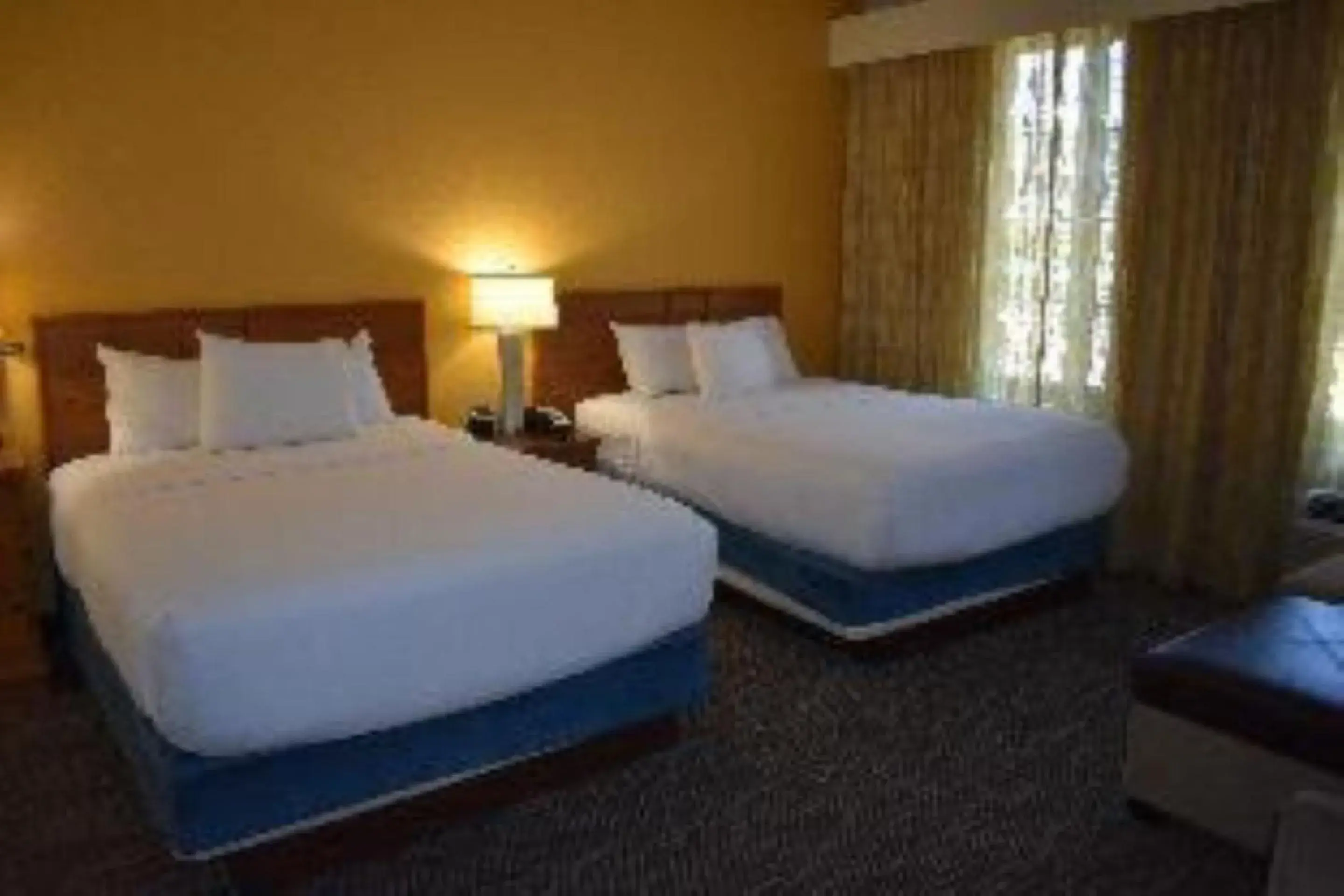 Deluxe King Room - Non-Smoking in Studio 6 Carlsbad CA Deluxe King Room - Non-Smoking in Studio 6 Carlsbad CA