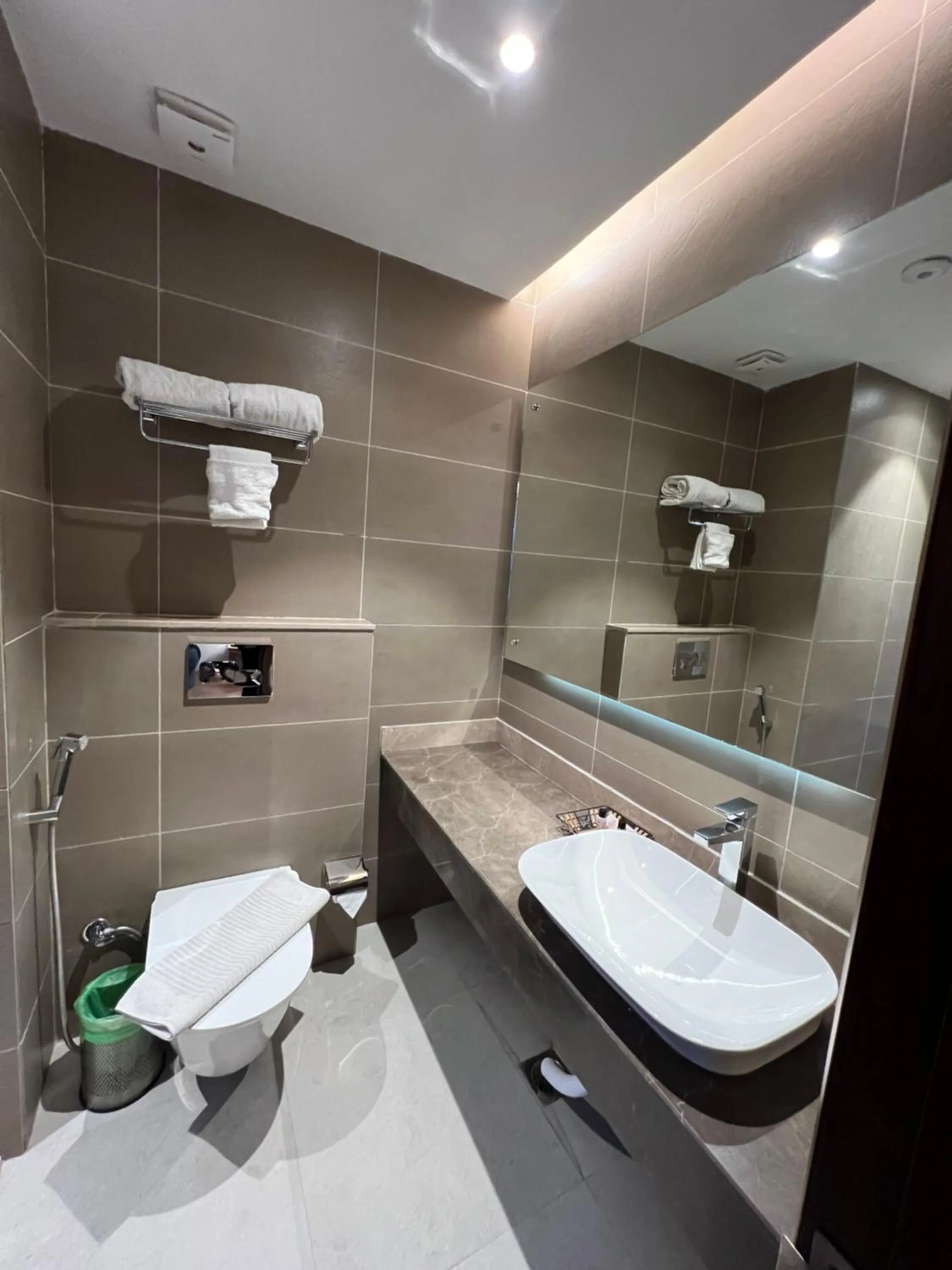 Bathroom in The Pangong