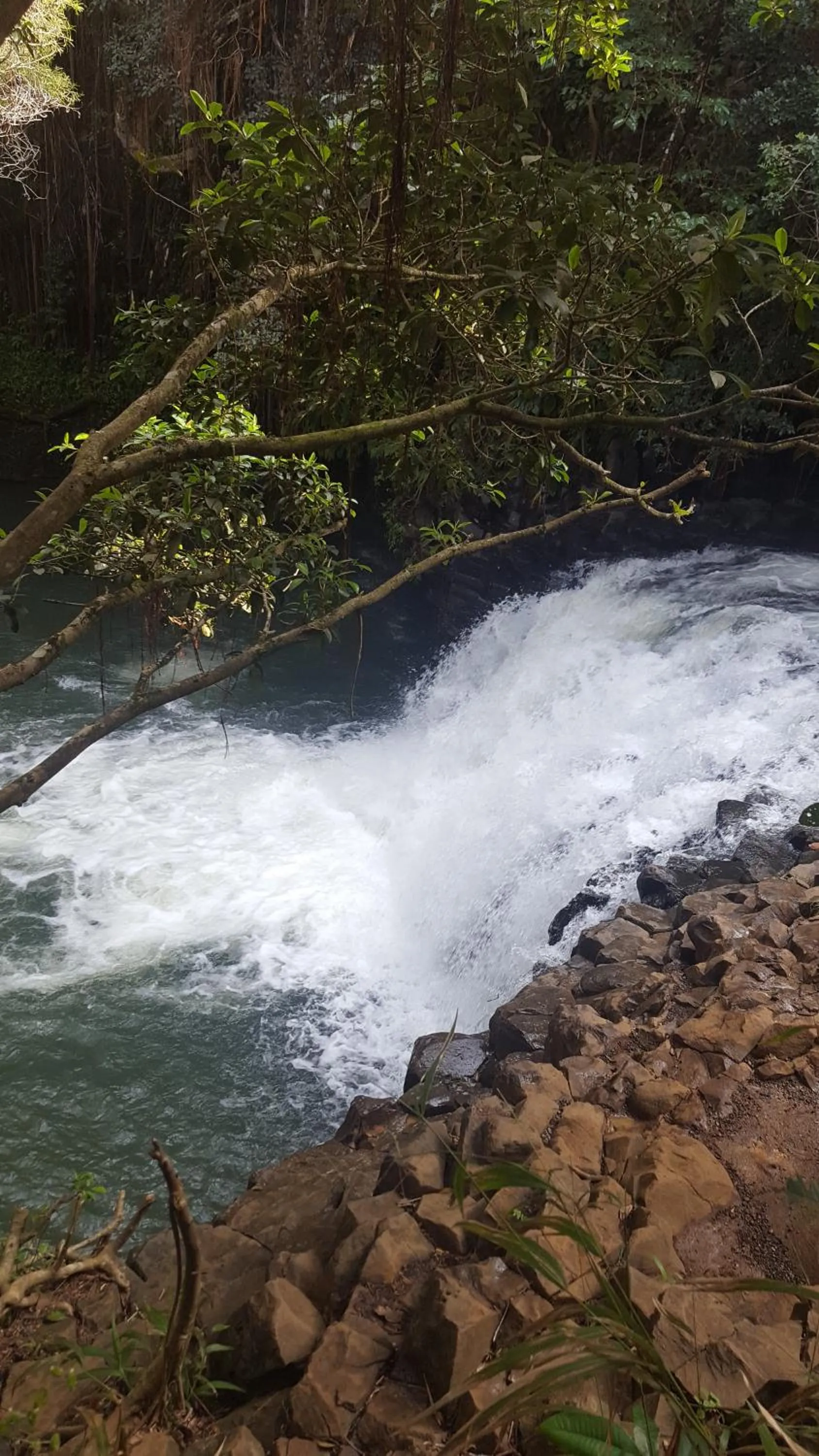 Nearby landmark in Maui Vista Vacation Condo