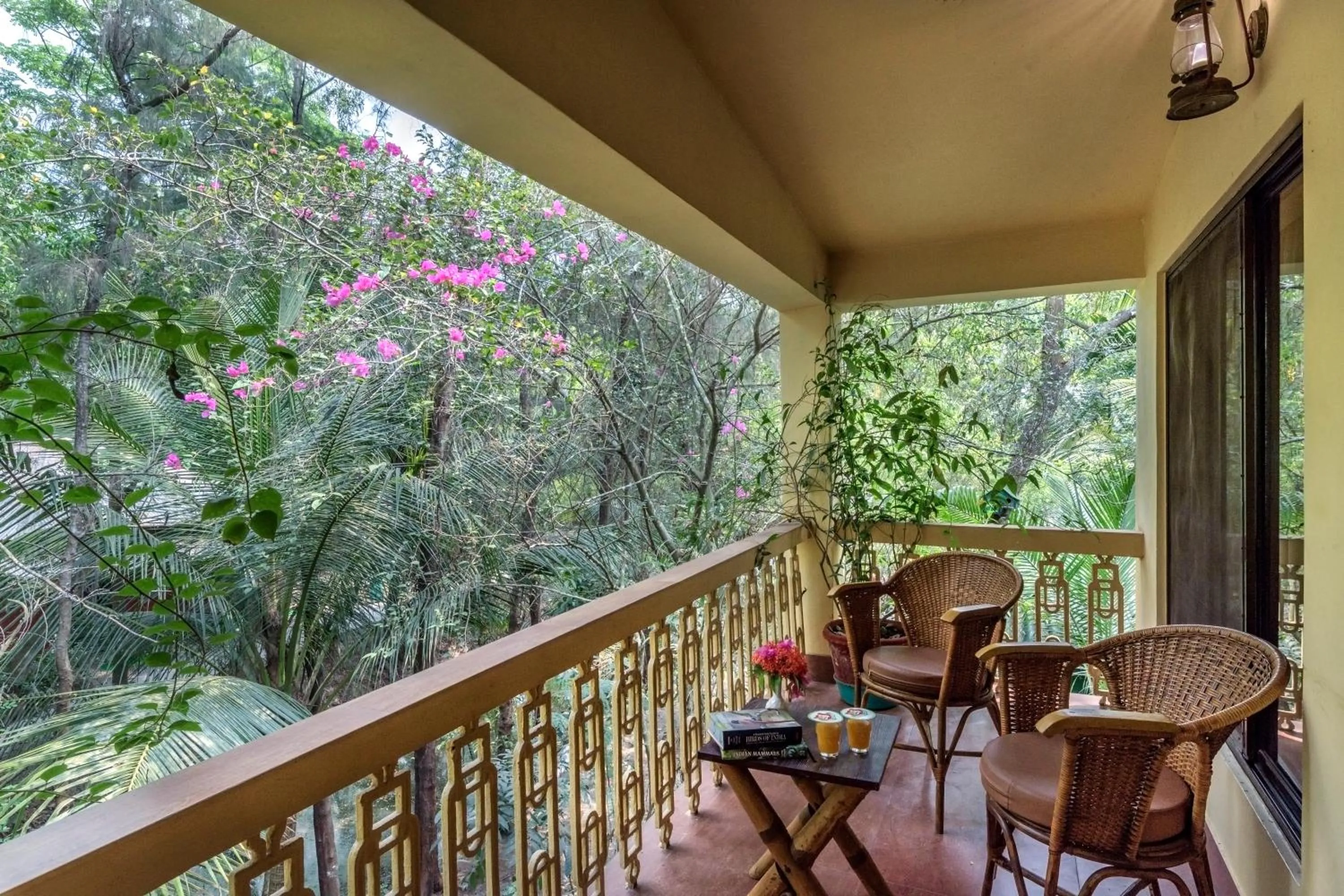 View (from property/room) in Sunderban Tiger Camp