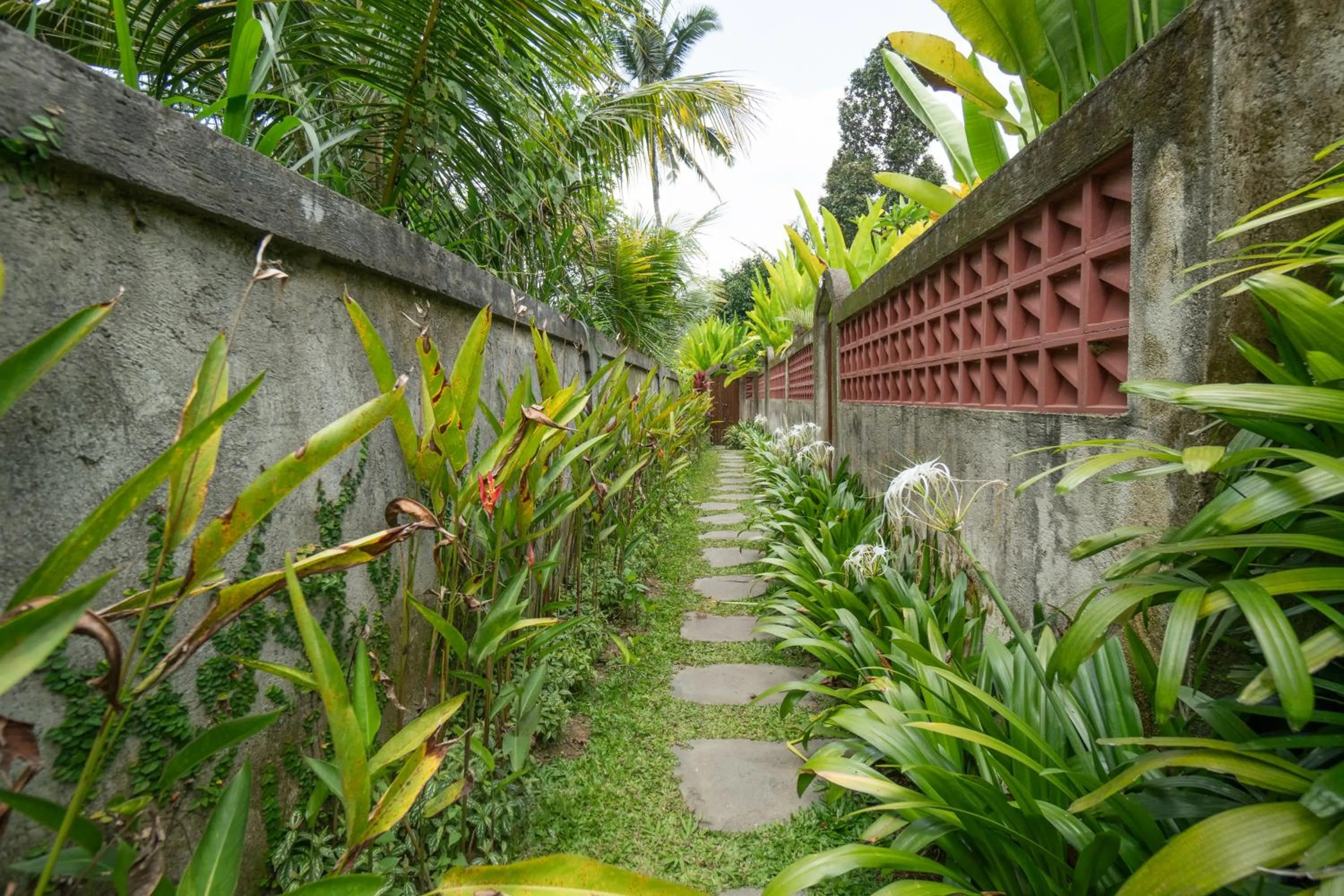 Spring in Puri Kurnia Ayu