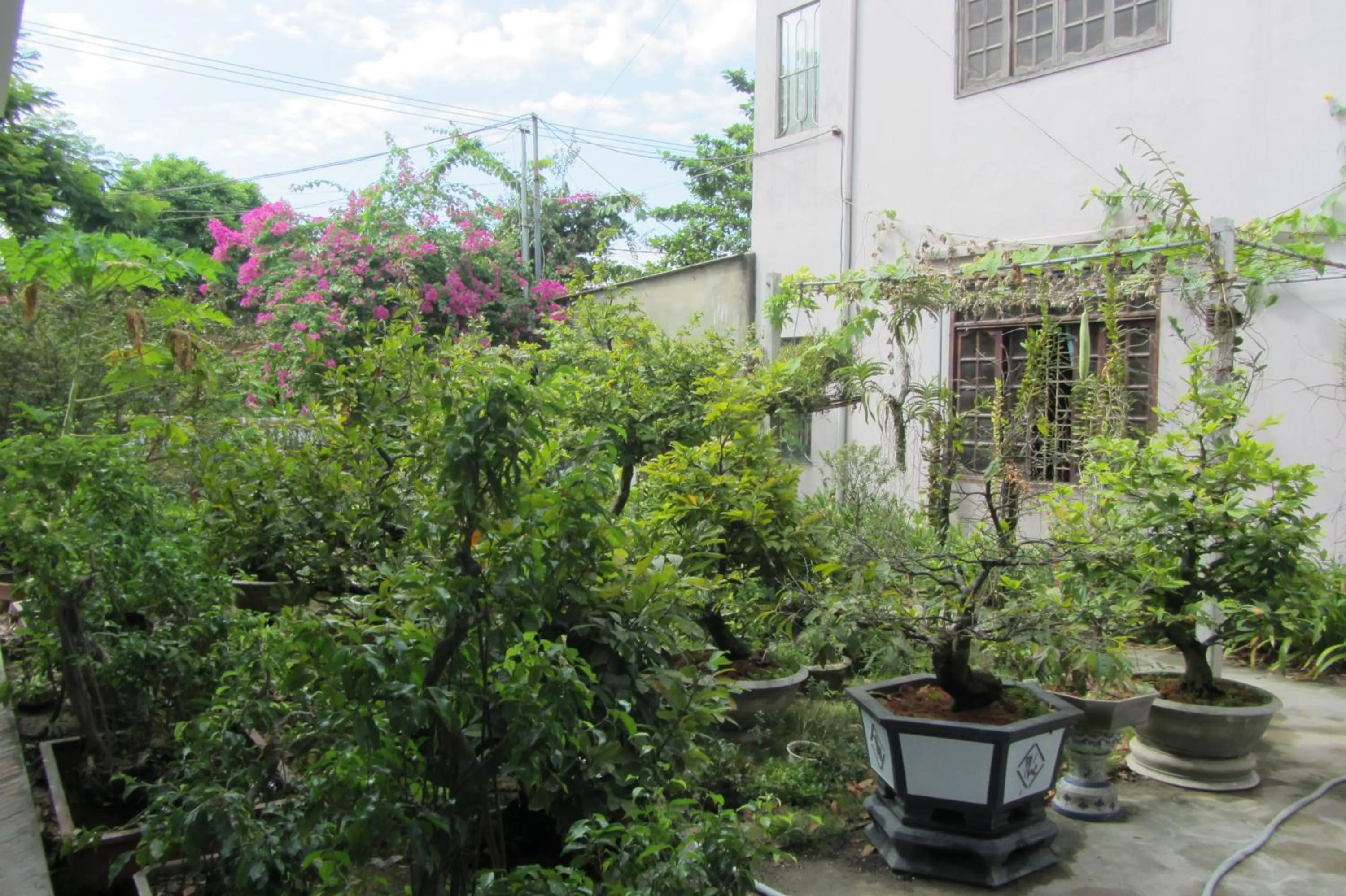 Other in Charming Homestay