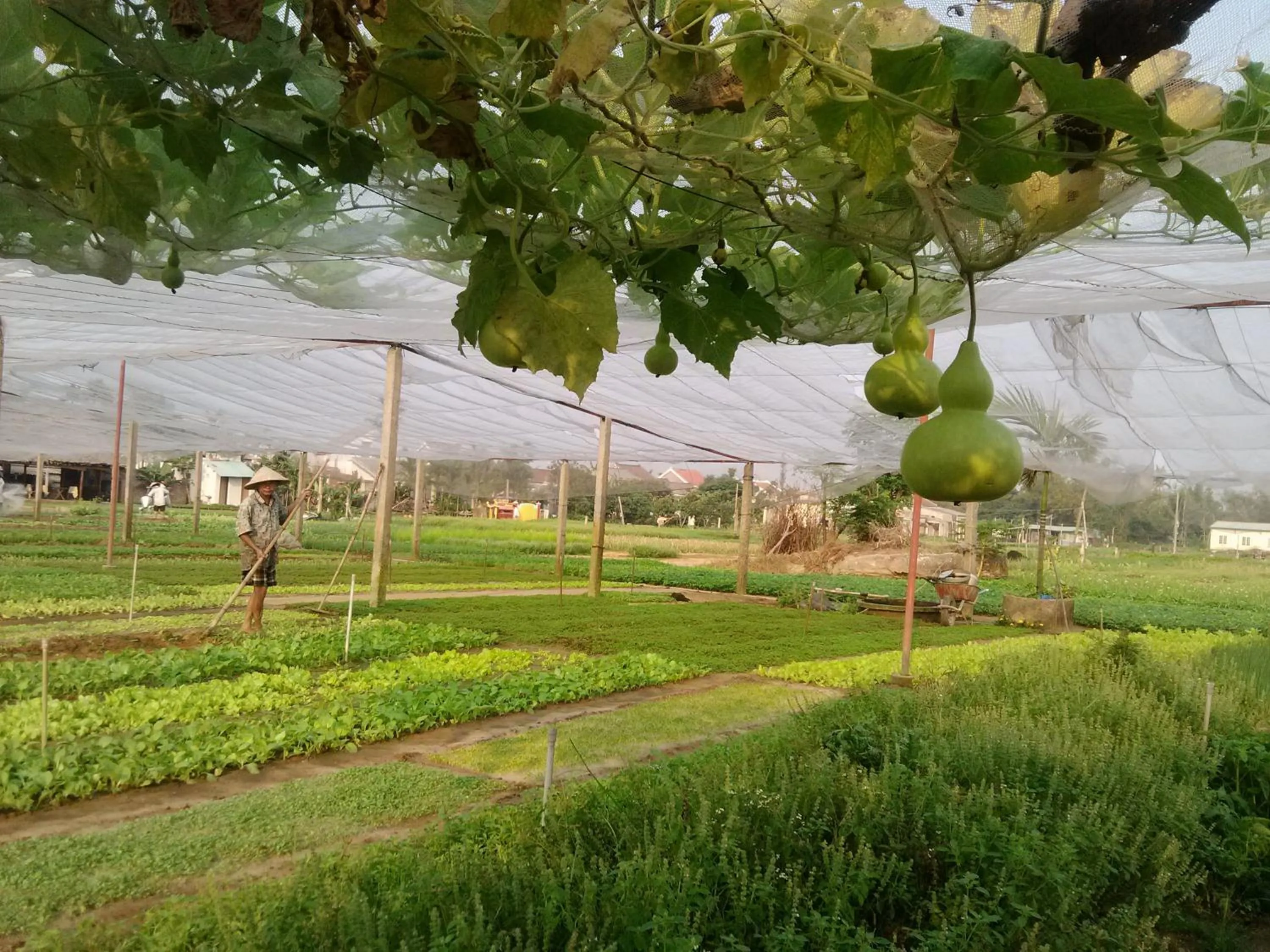 Area and facilities in Charming Homestay