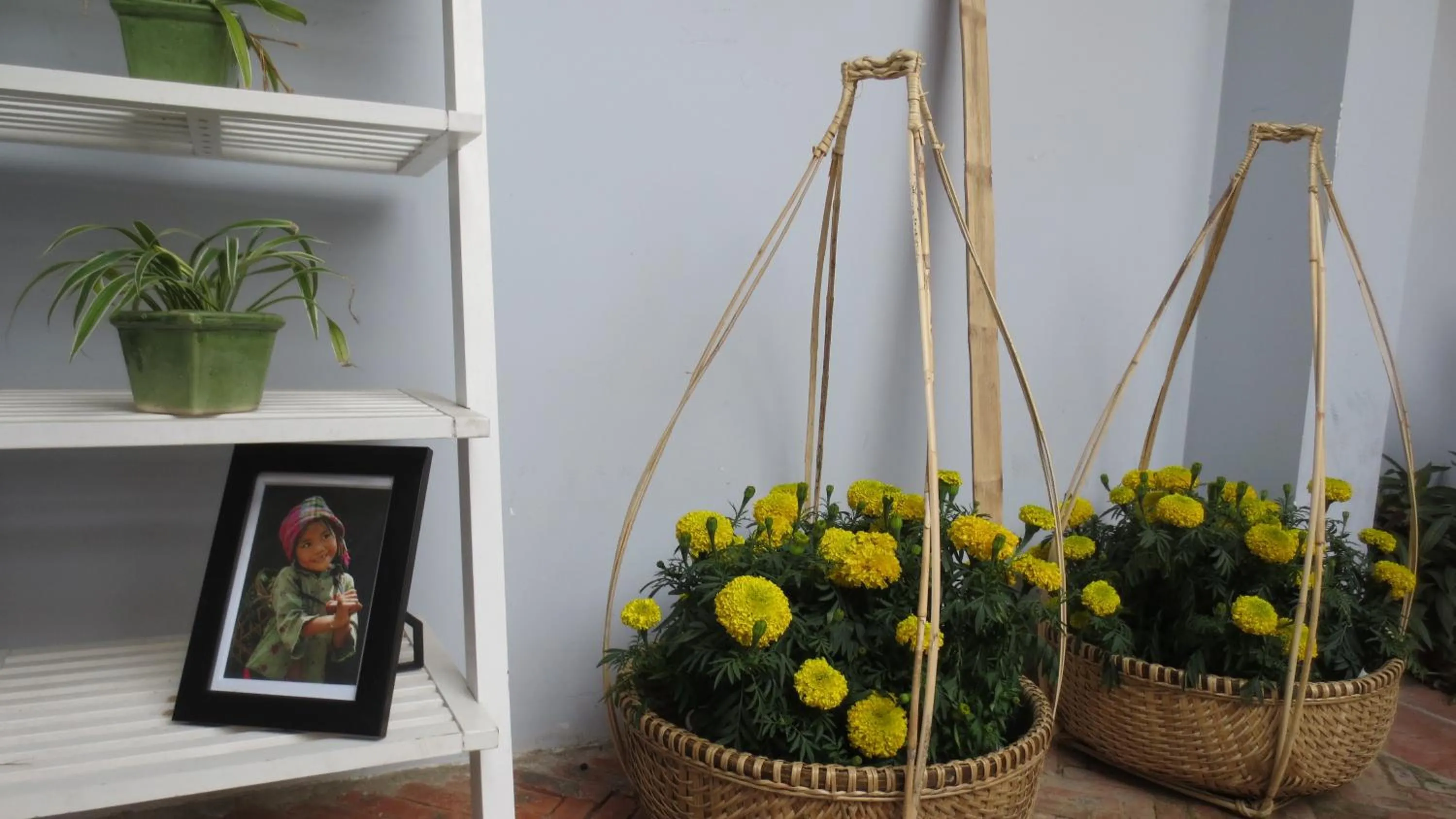 Balcony/Terrace in Charming Homestay