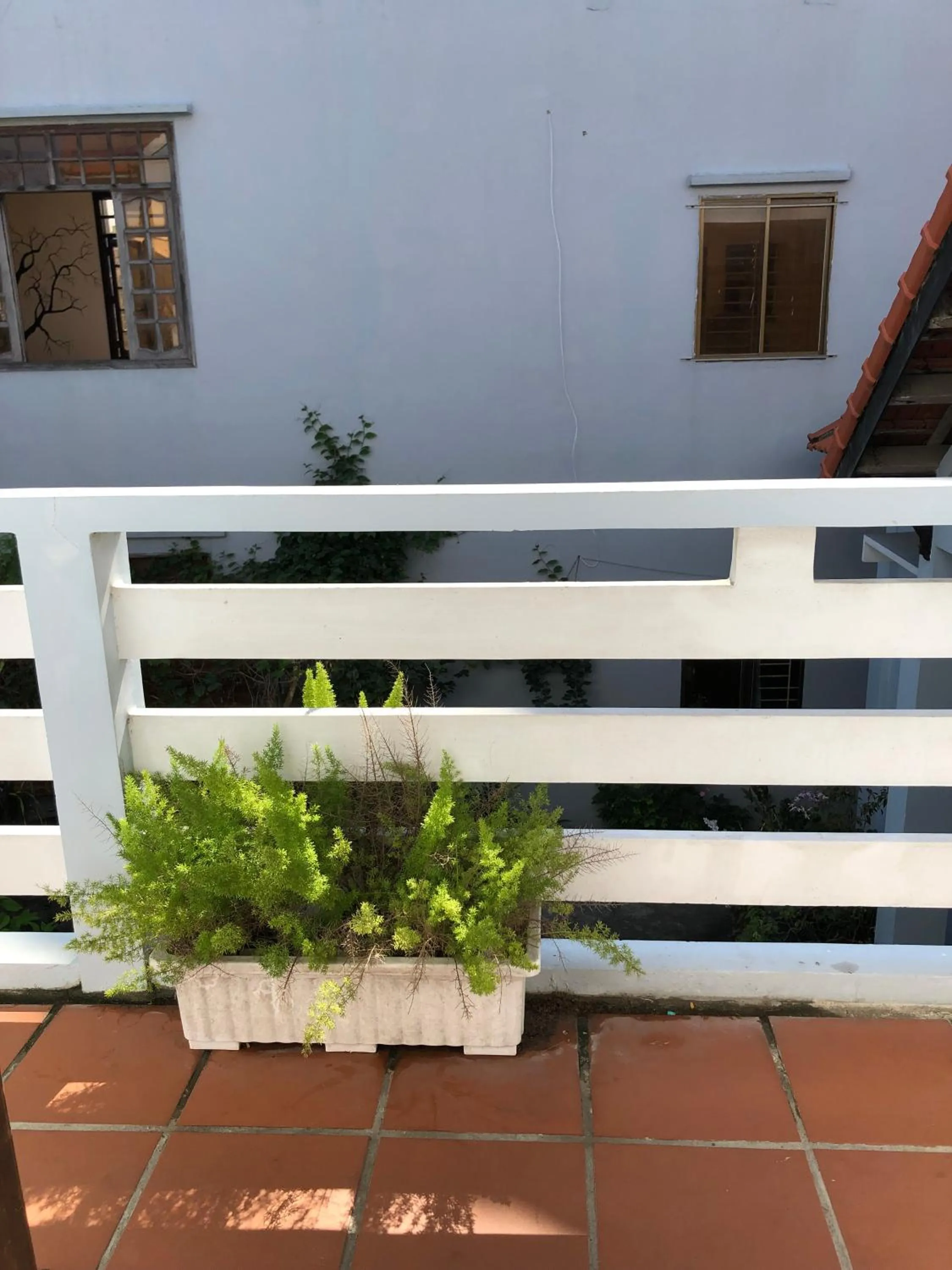 Balcony/Terrace in Charming Homestay