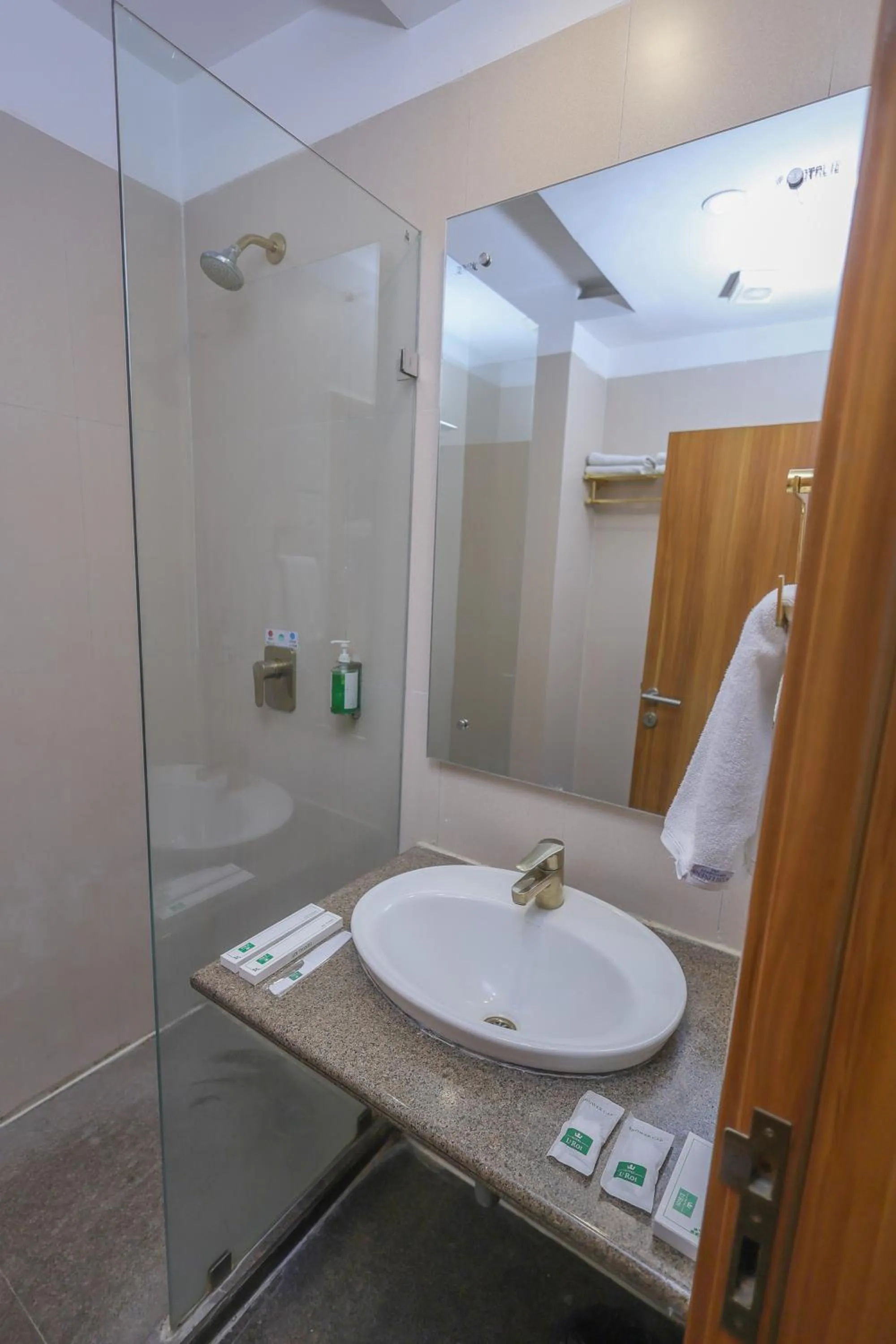 Bathroom in Le Roi Udaipur