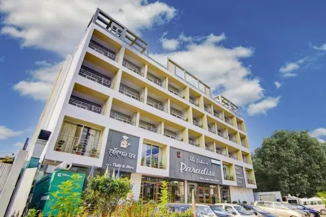 The Pikus Paradise The Pikus Paradise