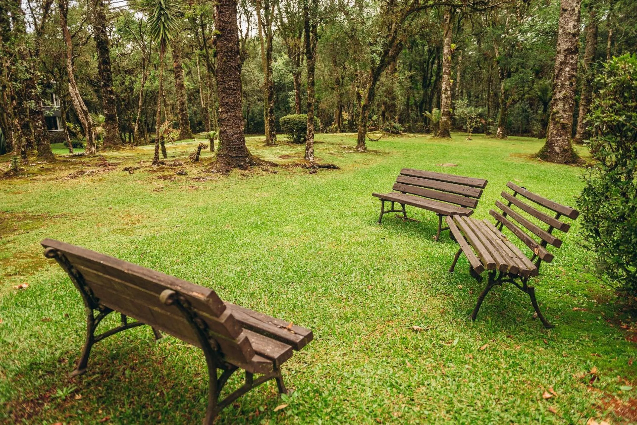 Street view in Suíte Laje de Pedra Mountain Village