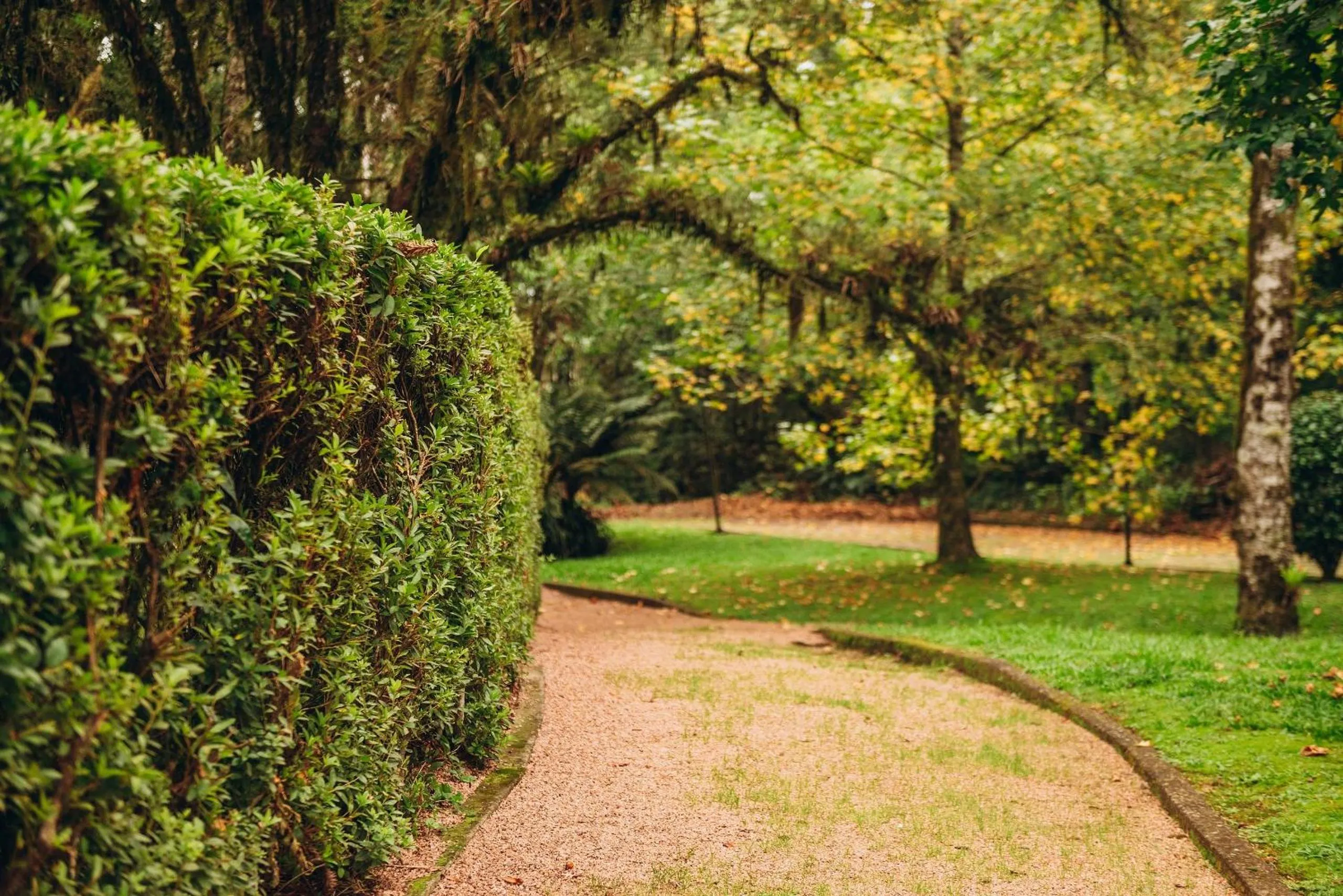 Street view in Suíte Laje de Pedra Mountain Village