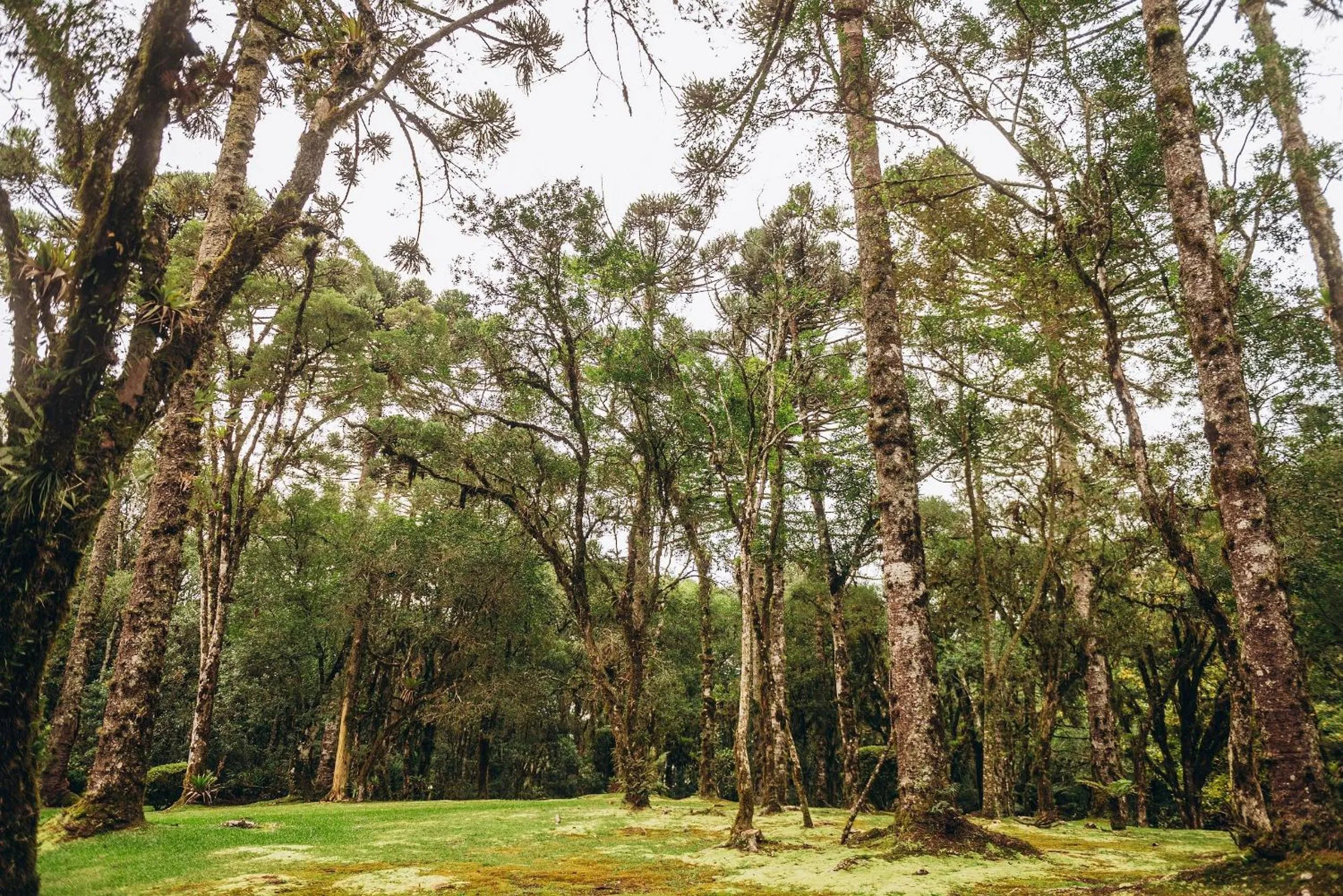 Lake view in Suíte Laje de Pedra Mountain Village