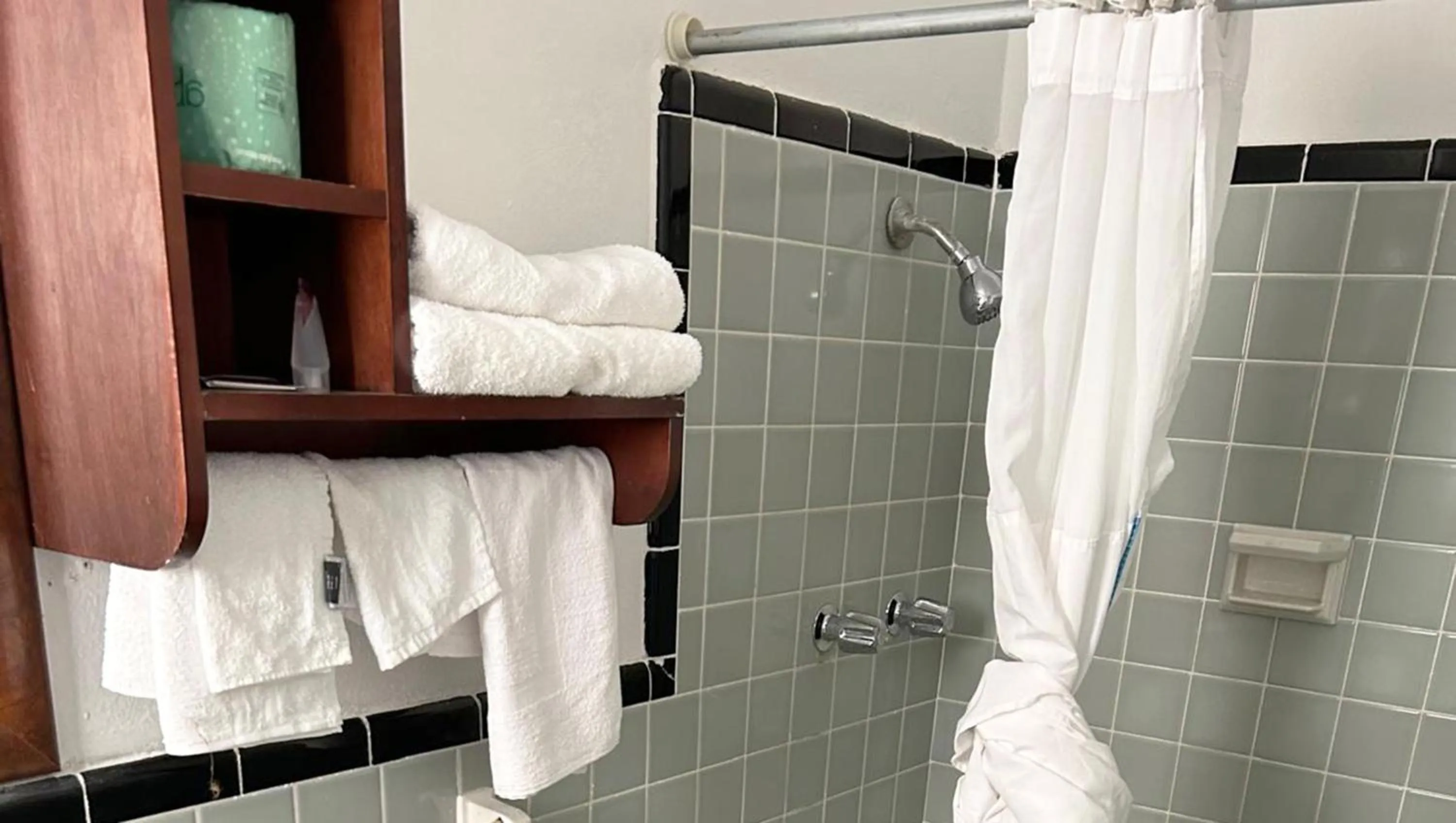 Shower in Steven Motel