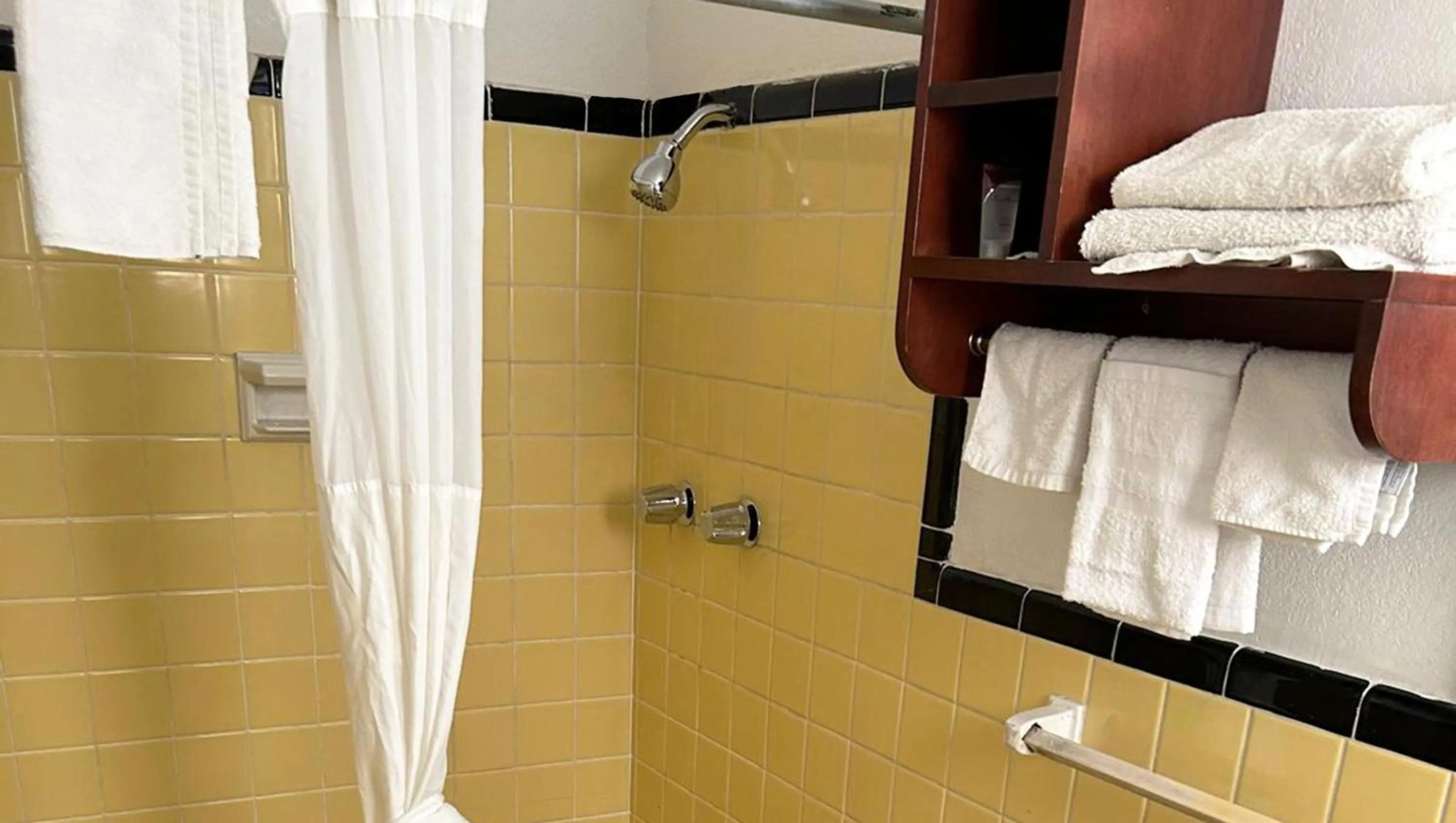 Shower in Steven Motel