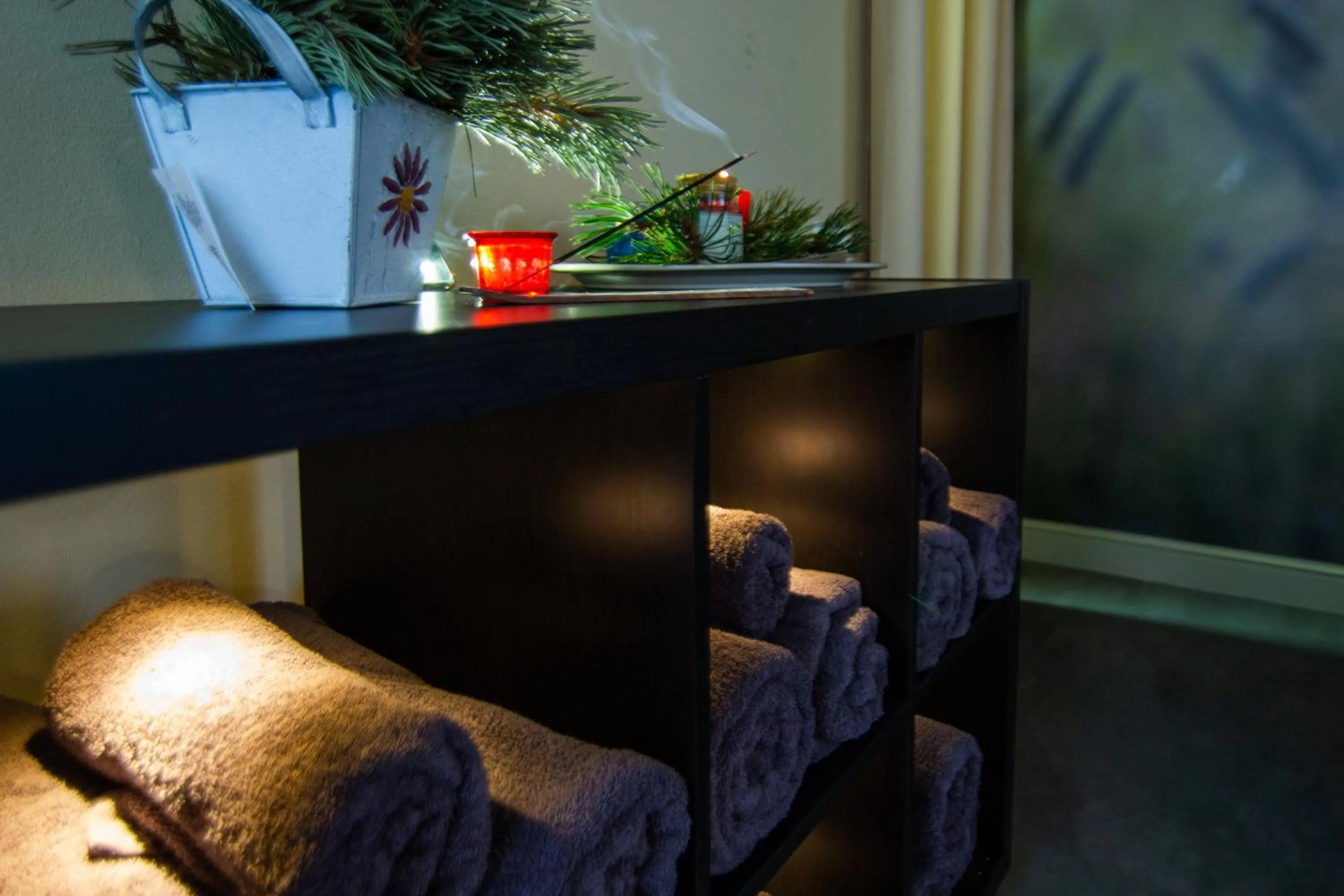 Massage in Hotel Vall de Núria