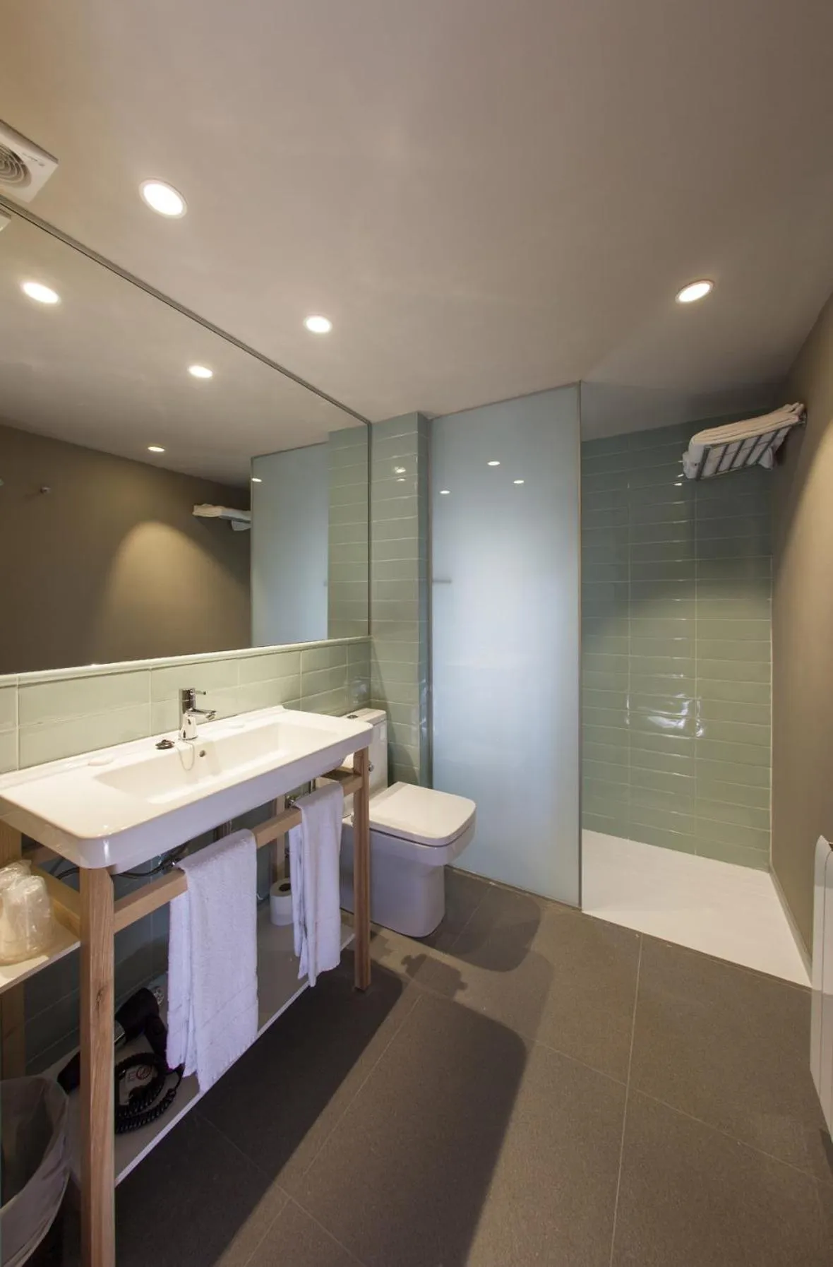 Toilet in Hotel Vall de Núria