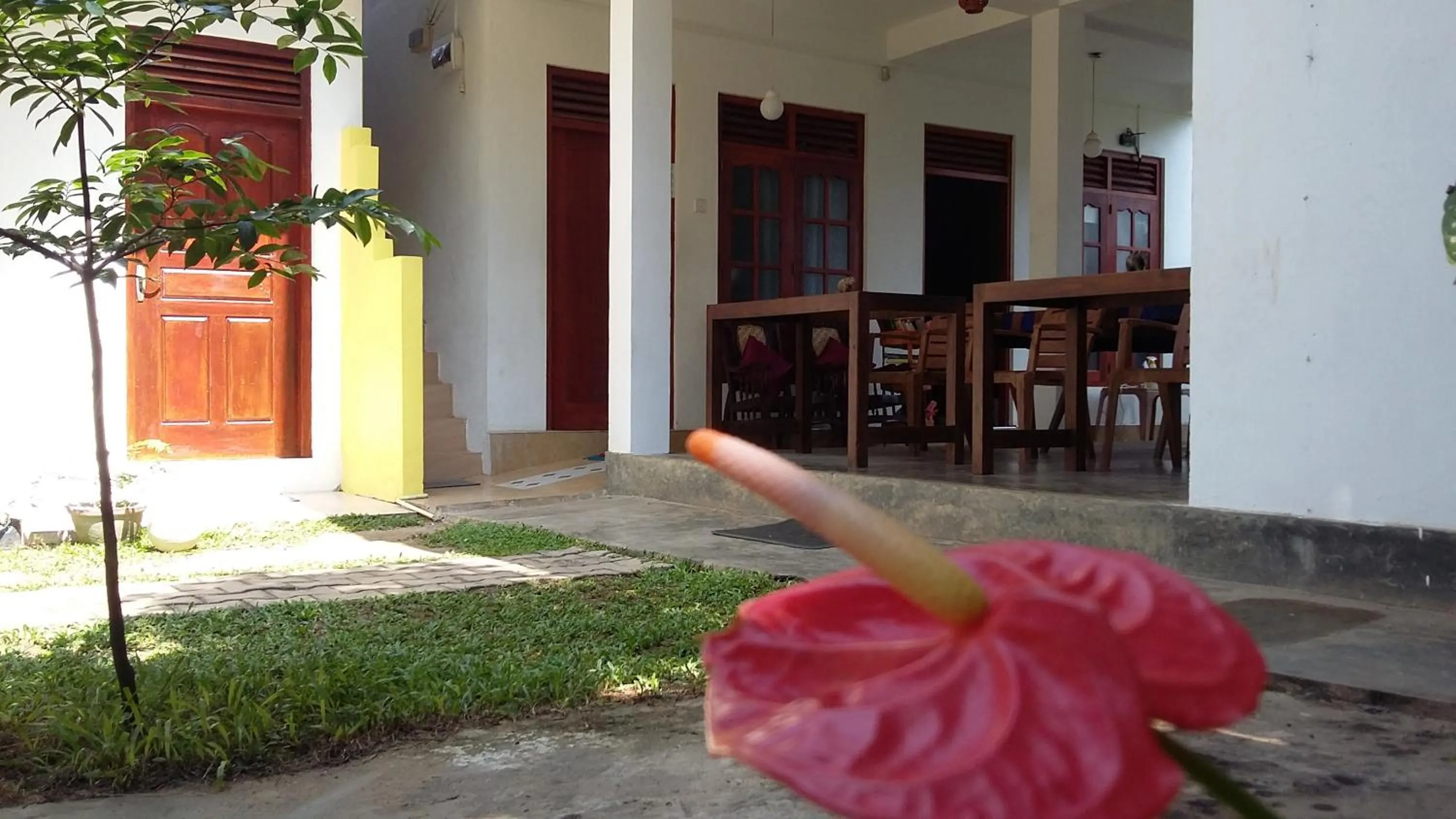 Garden view in Calidan