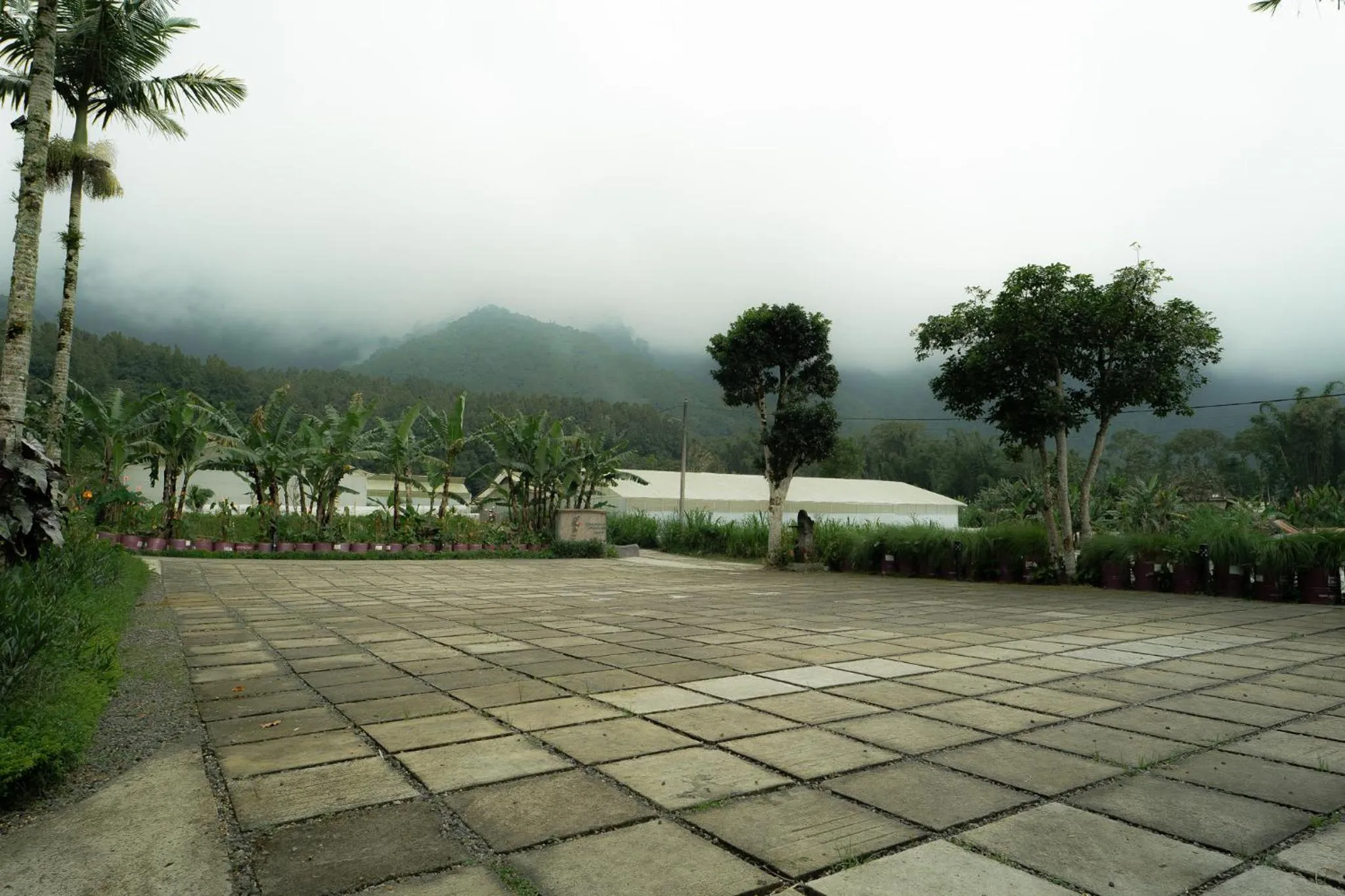 Property building in Pondanu Living