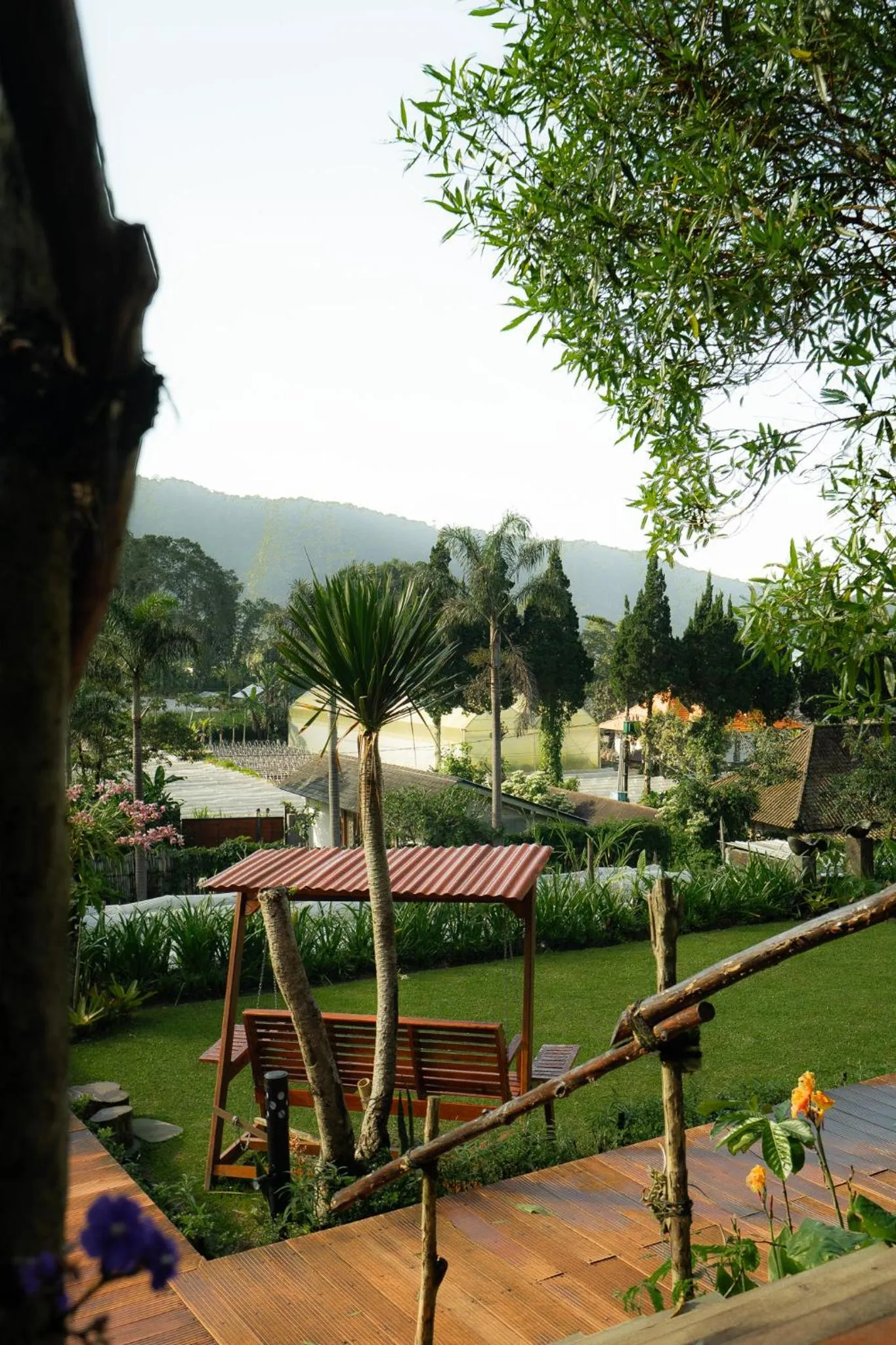 Property building in Pondanu Living