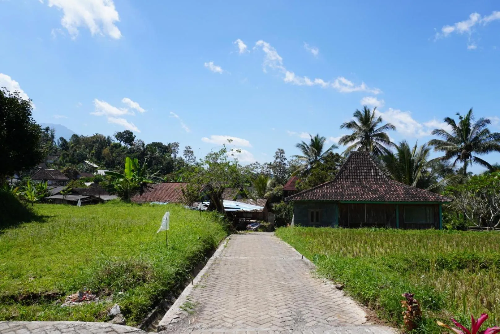 Facade/entrance in Purwa Ijen