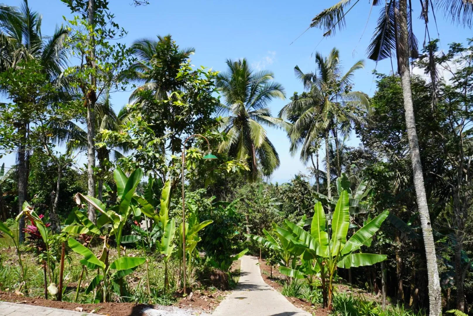 Facade/entrance in Purwa Ijen