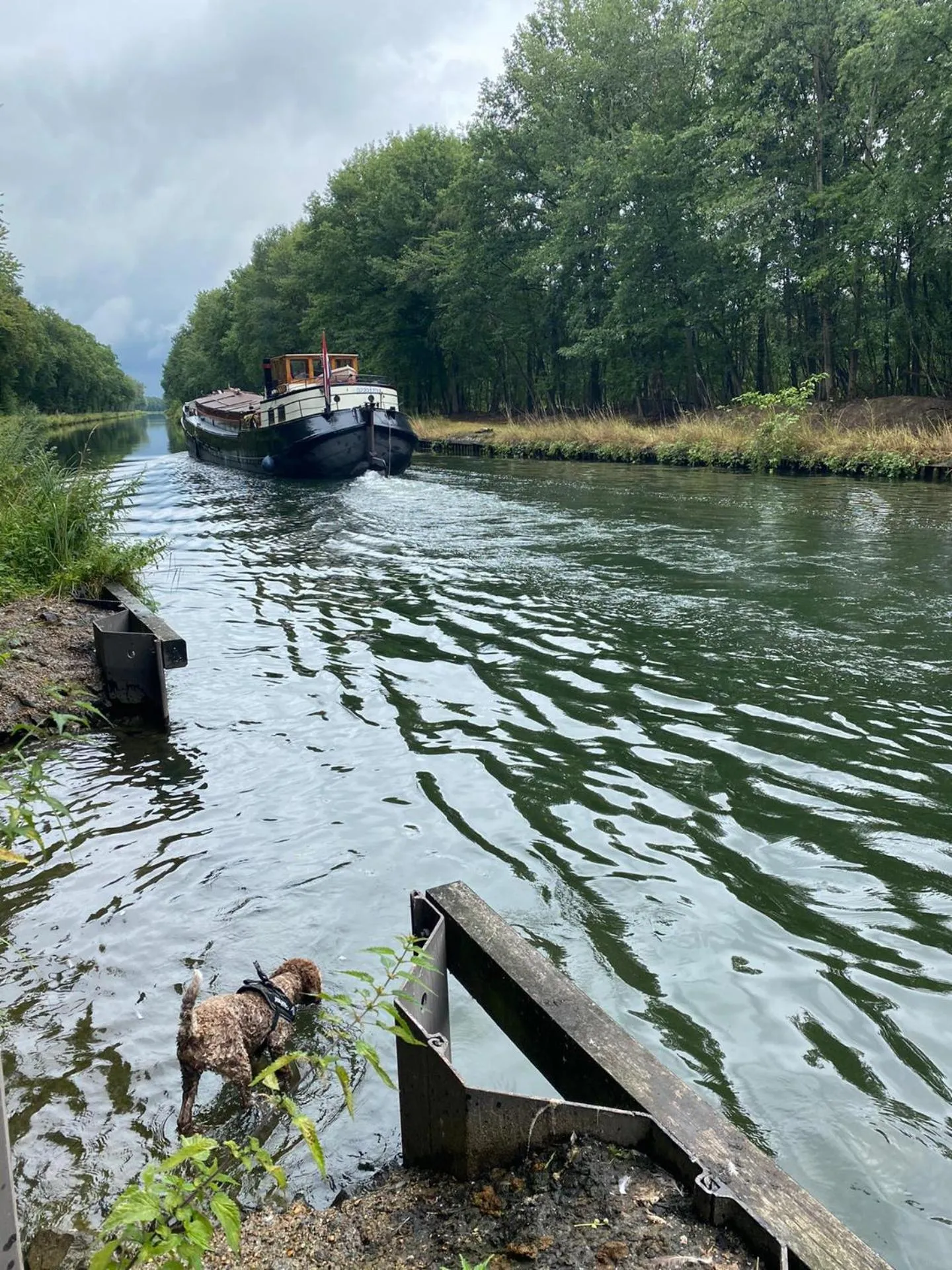 Natural landscape in Restaurant & Guesthouse Cachet de Cire