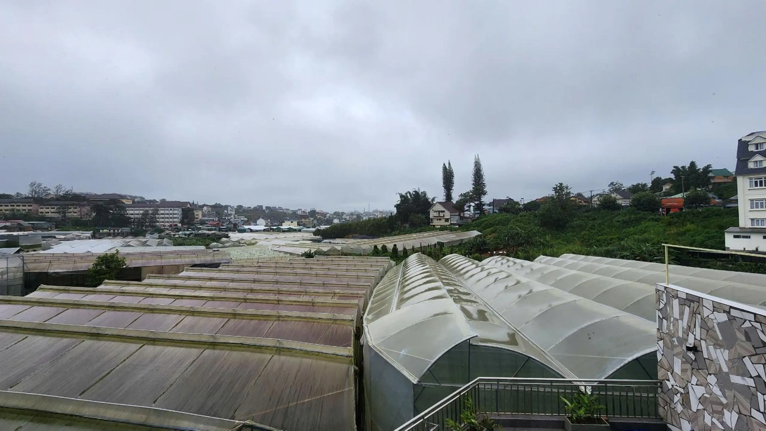 Day in Phuc Hai Hotel Da Lat