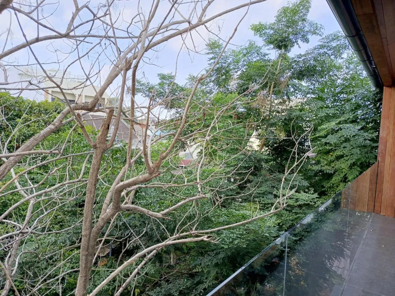 Garden view in KLUENNGAM Cafe & Stay