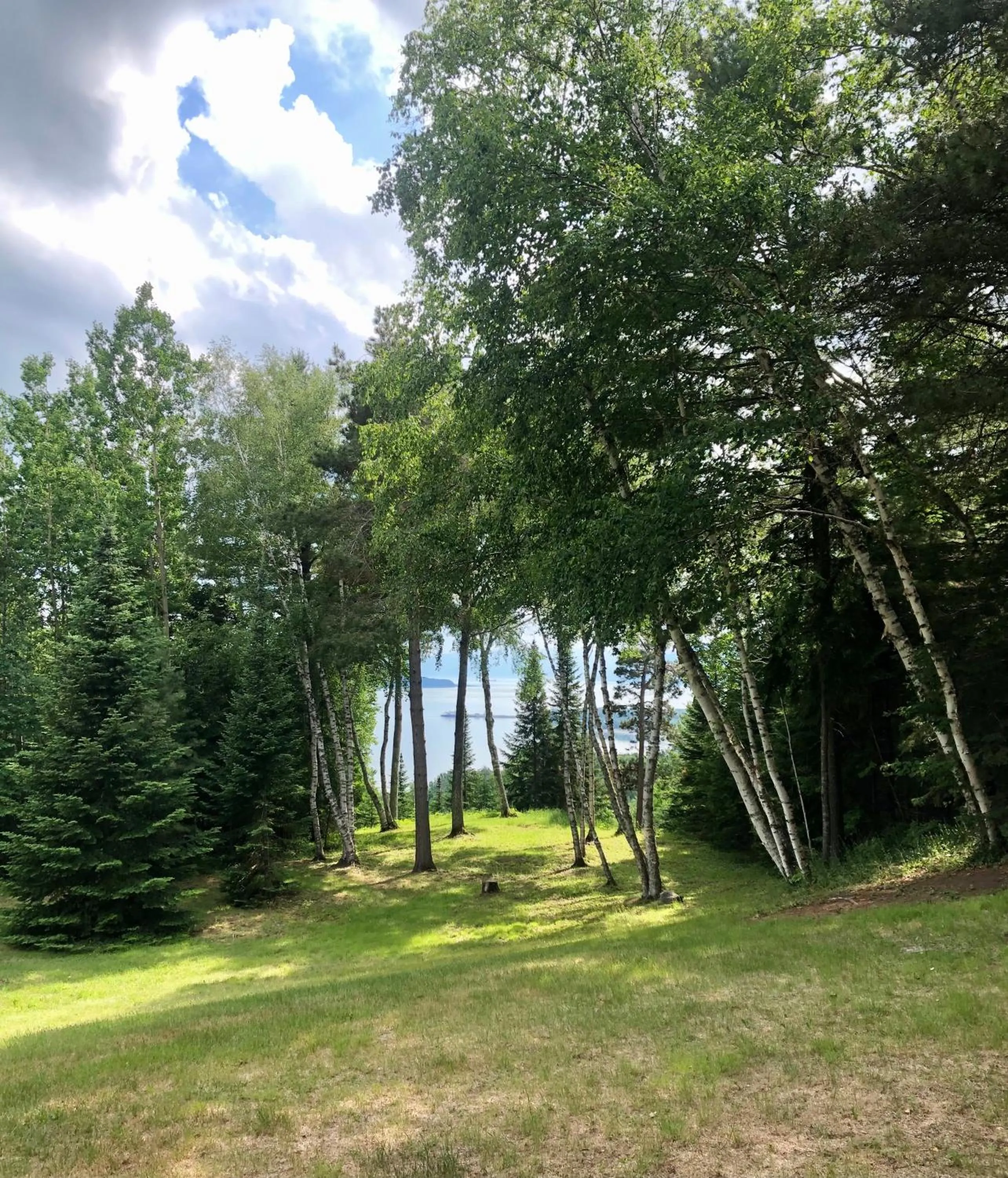 Natural landscape in Chalet Sous Les Pins