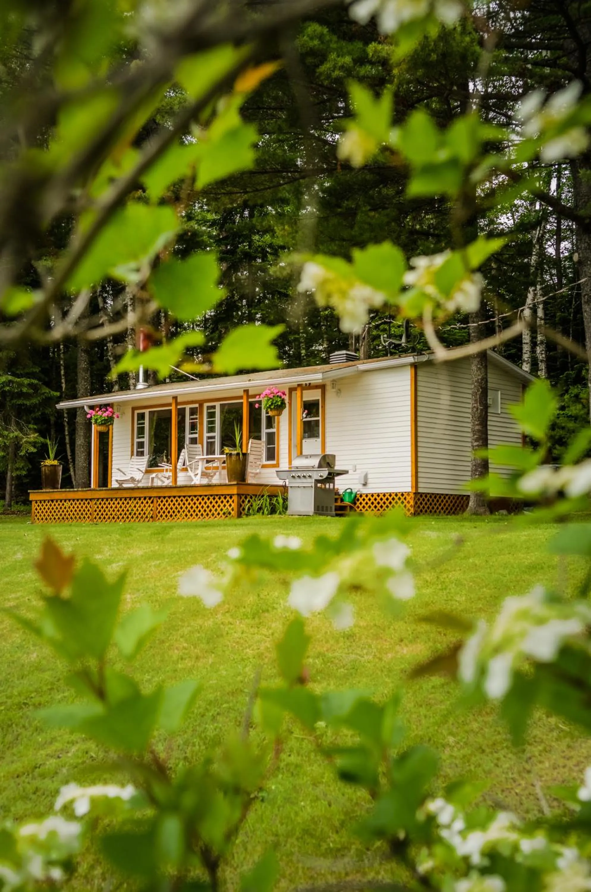 Facade/entrance in Chalet Sous Les Pins