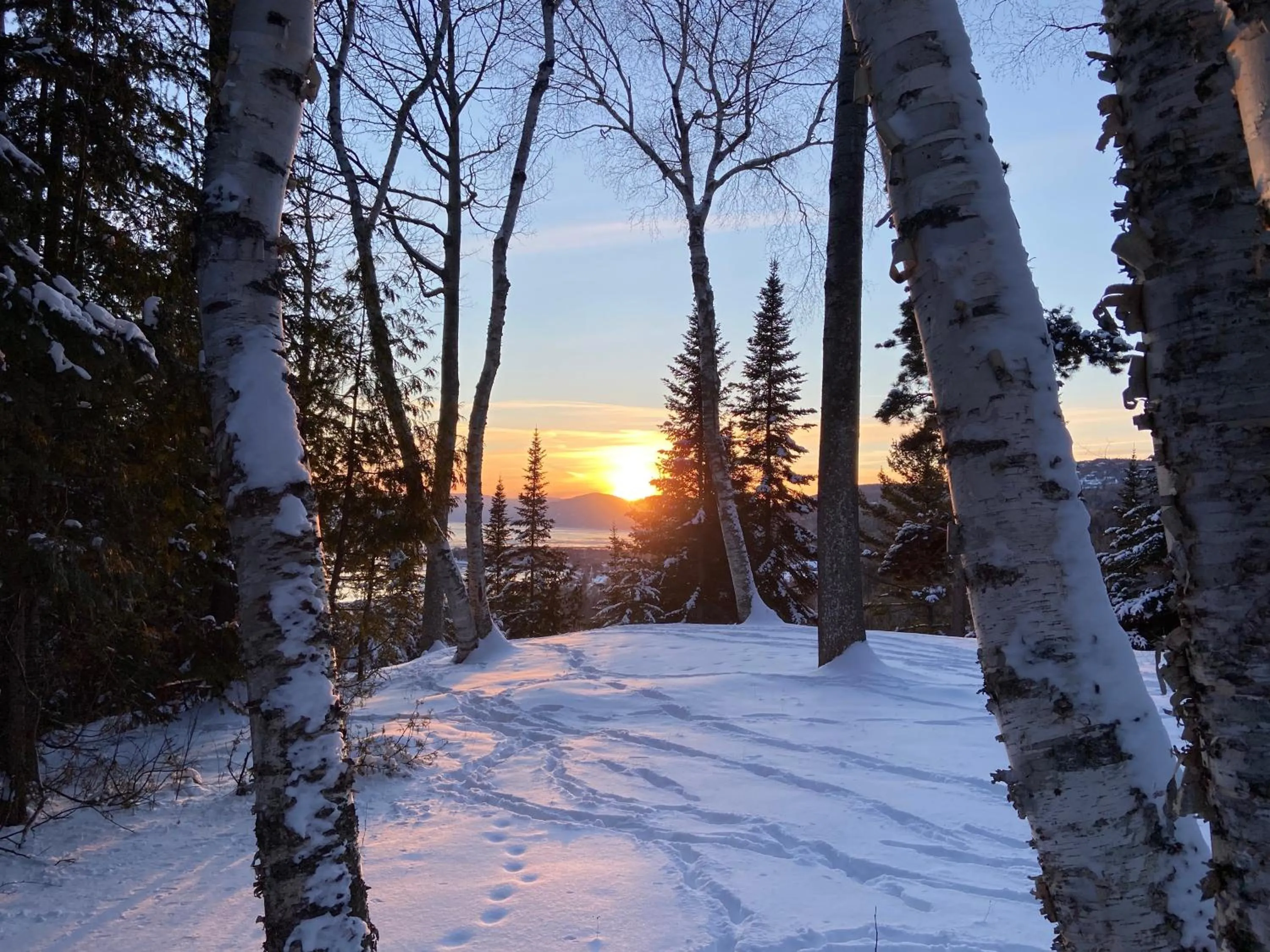 Natural landscape in Chalet Sous Les Pins