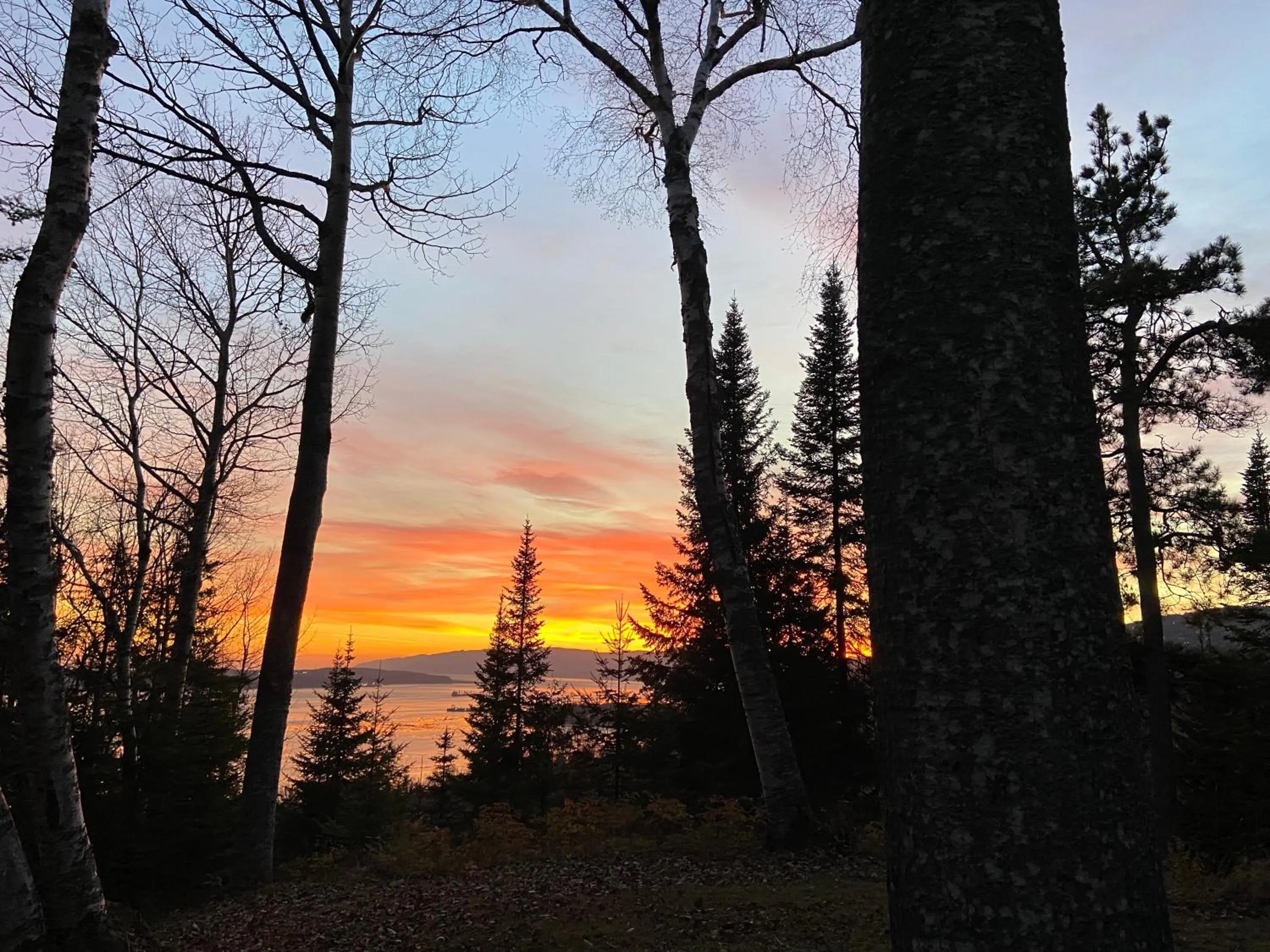Natural landscape in Chalet Sous Les Pins